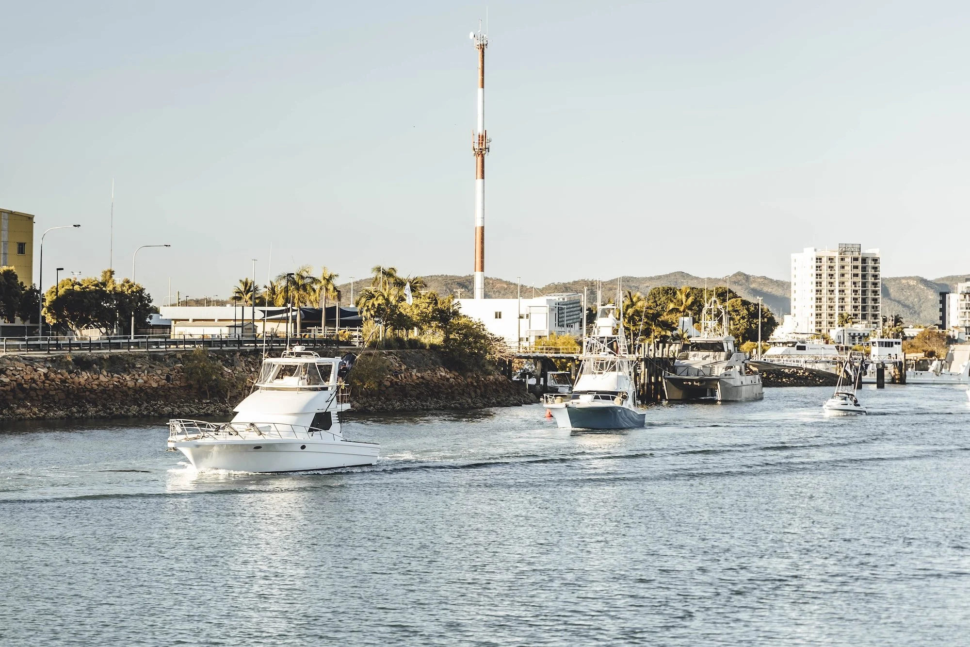 TGFC BILLFISH STILLS - TUESDAY-73.jpg
