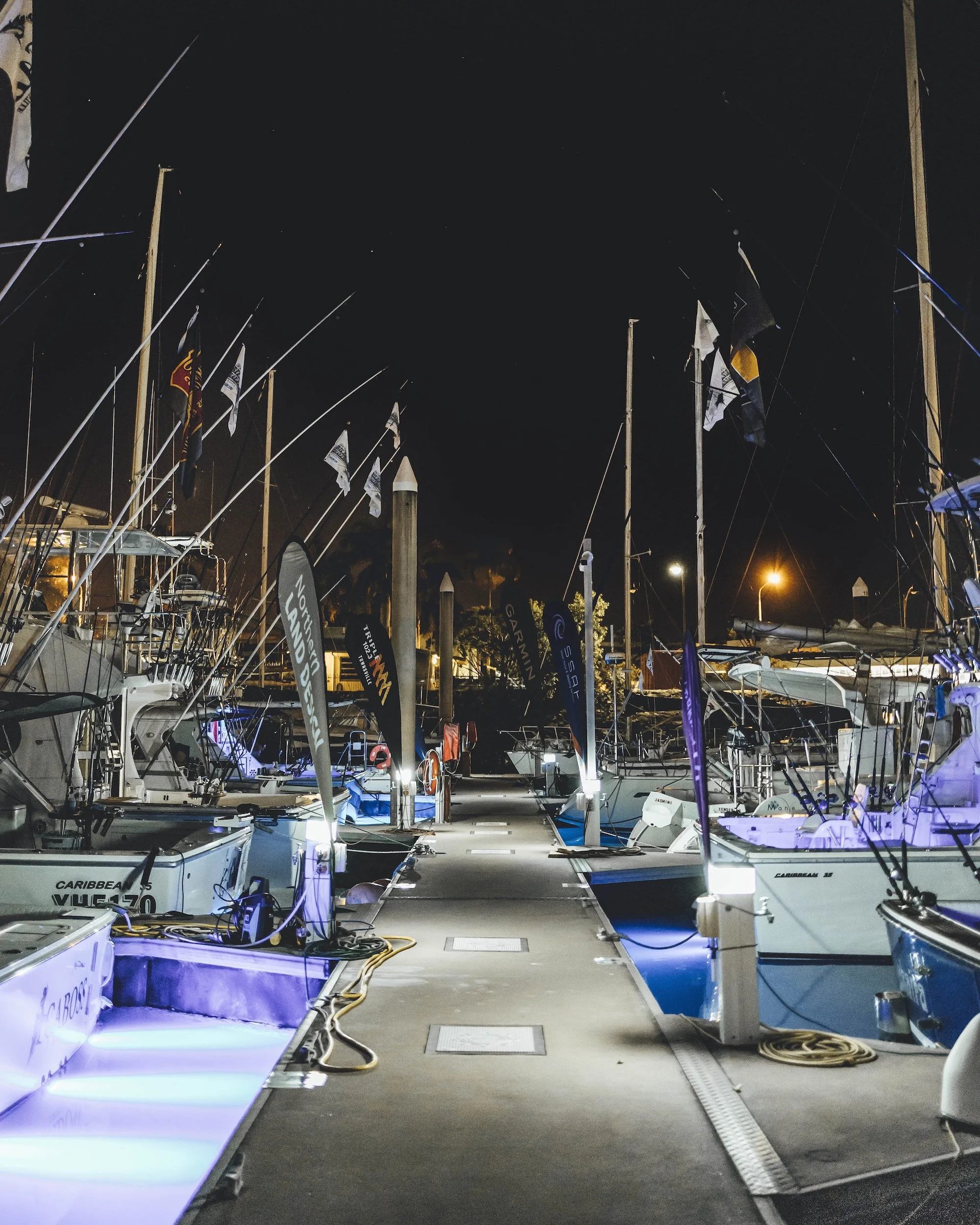 TGFC BILLFISH STILLS - TUESDAY.jpg