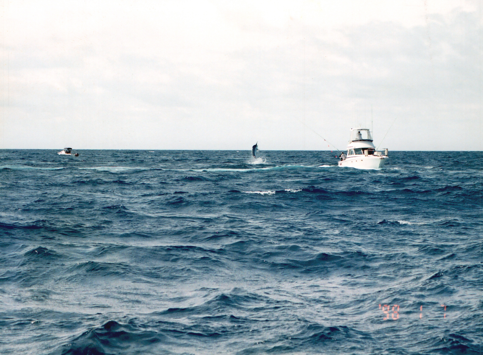 Scan2022-06-19_114433.png