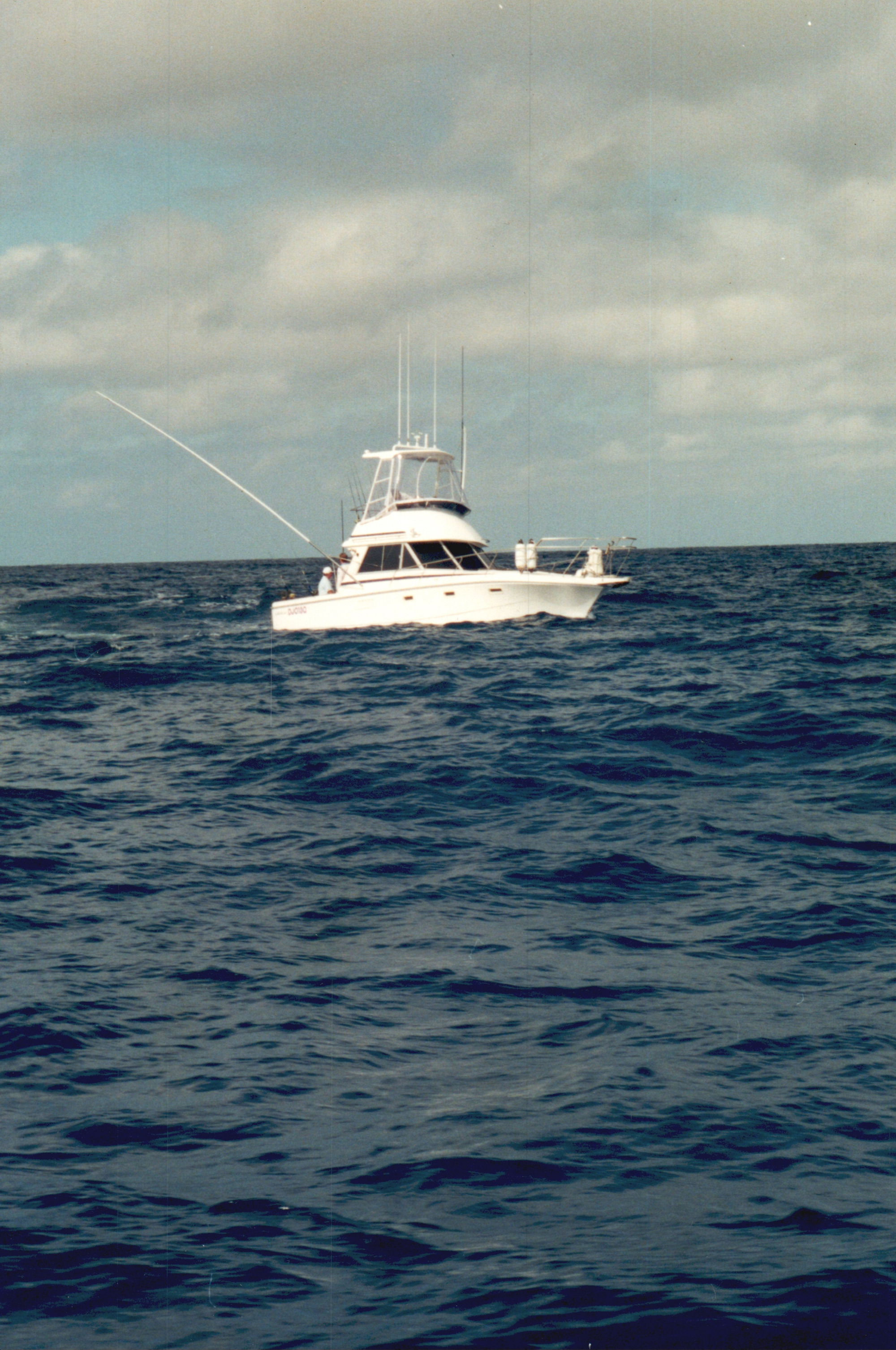 Scan2022-06-19_112746.png