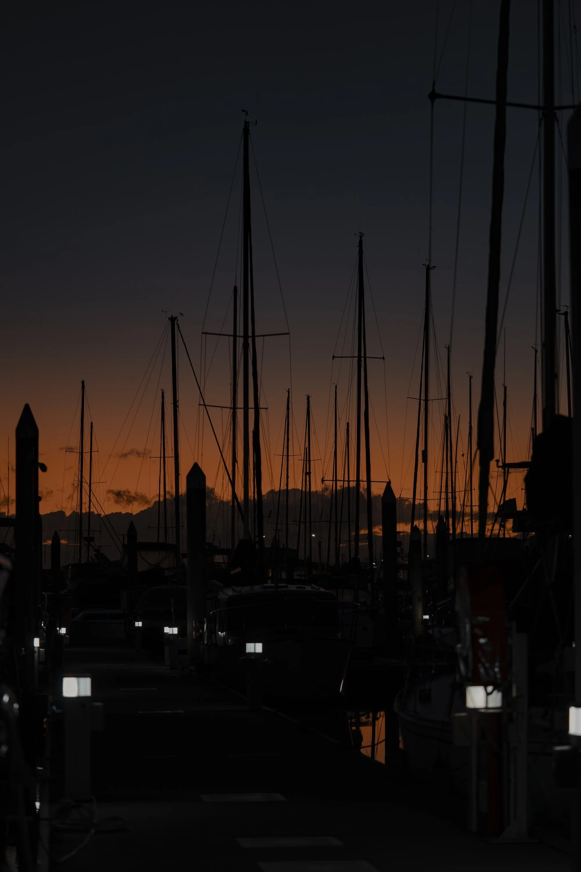 _DSC9624.jpg