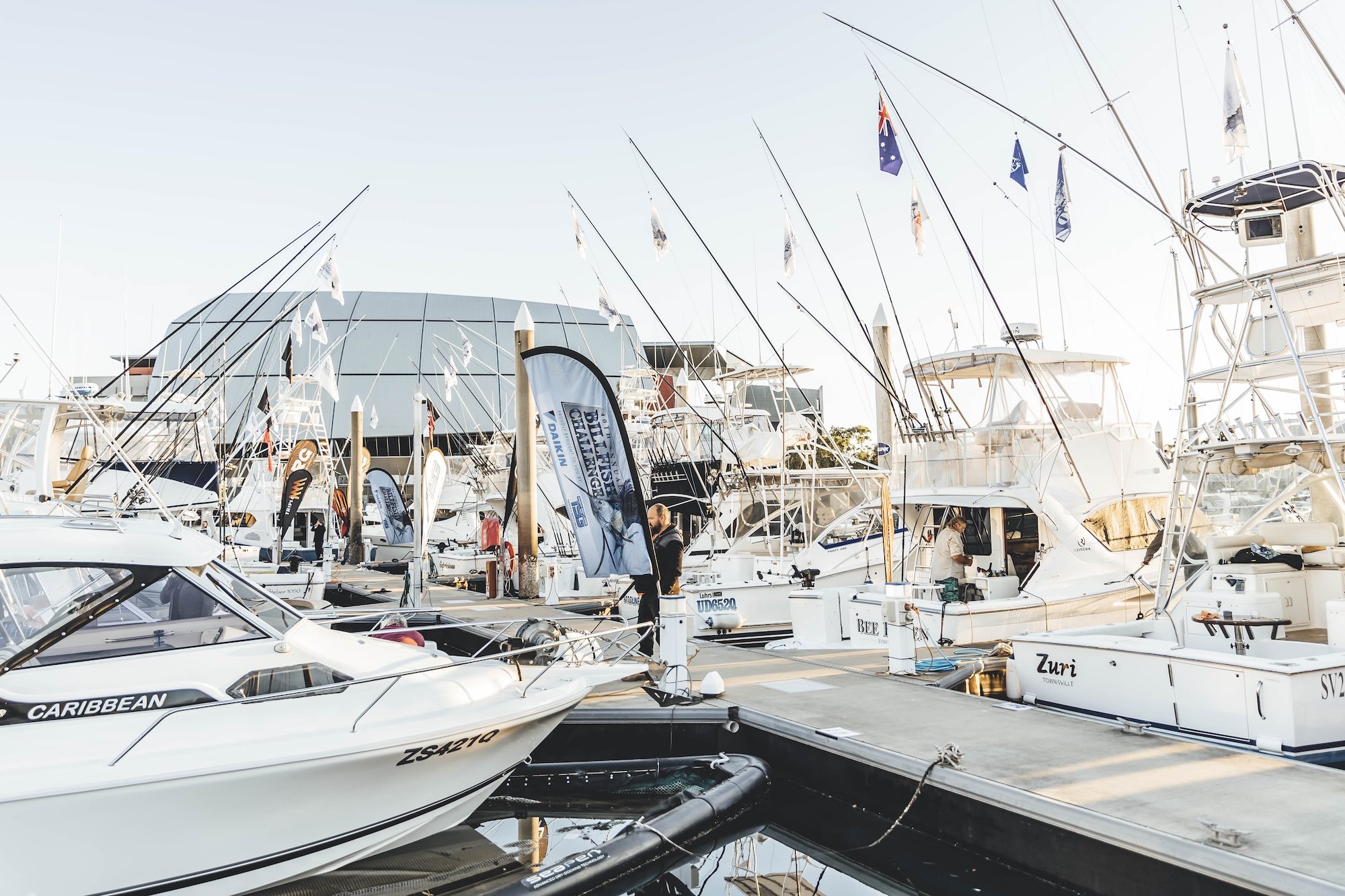 TGFC BILLFISH STILLS - TUESDAY-65.jpg