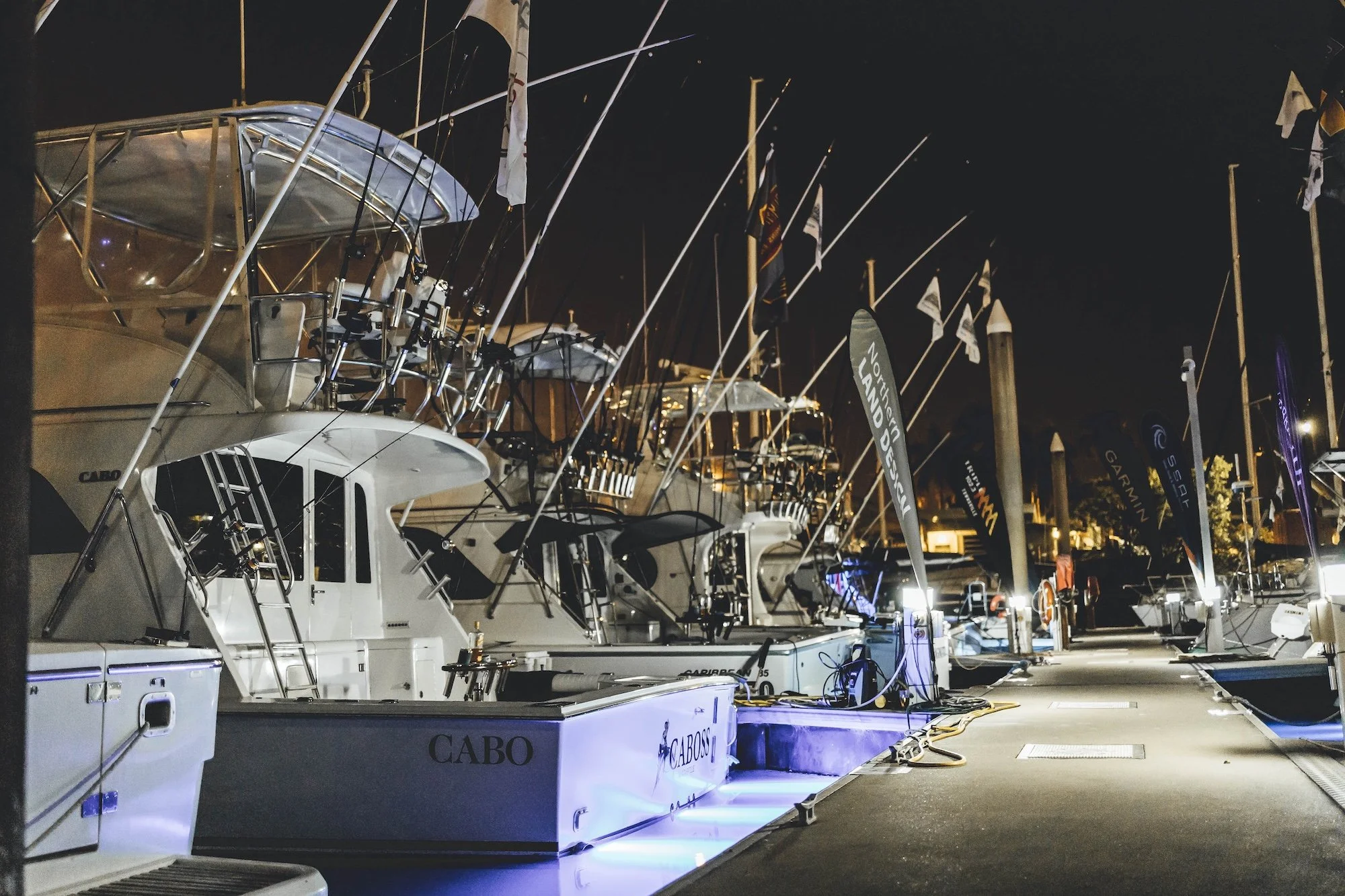 TGFC BILLFISH STILLS - TUESDAY-2.jpg