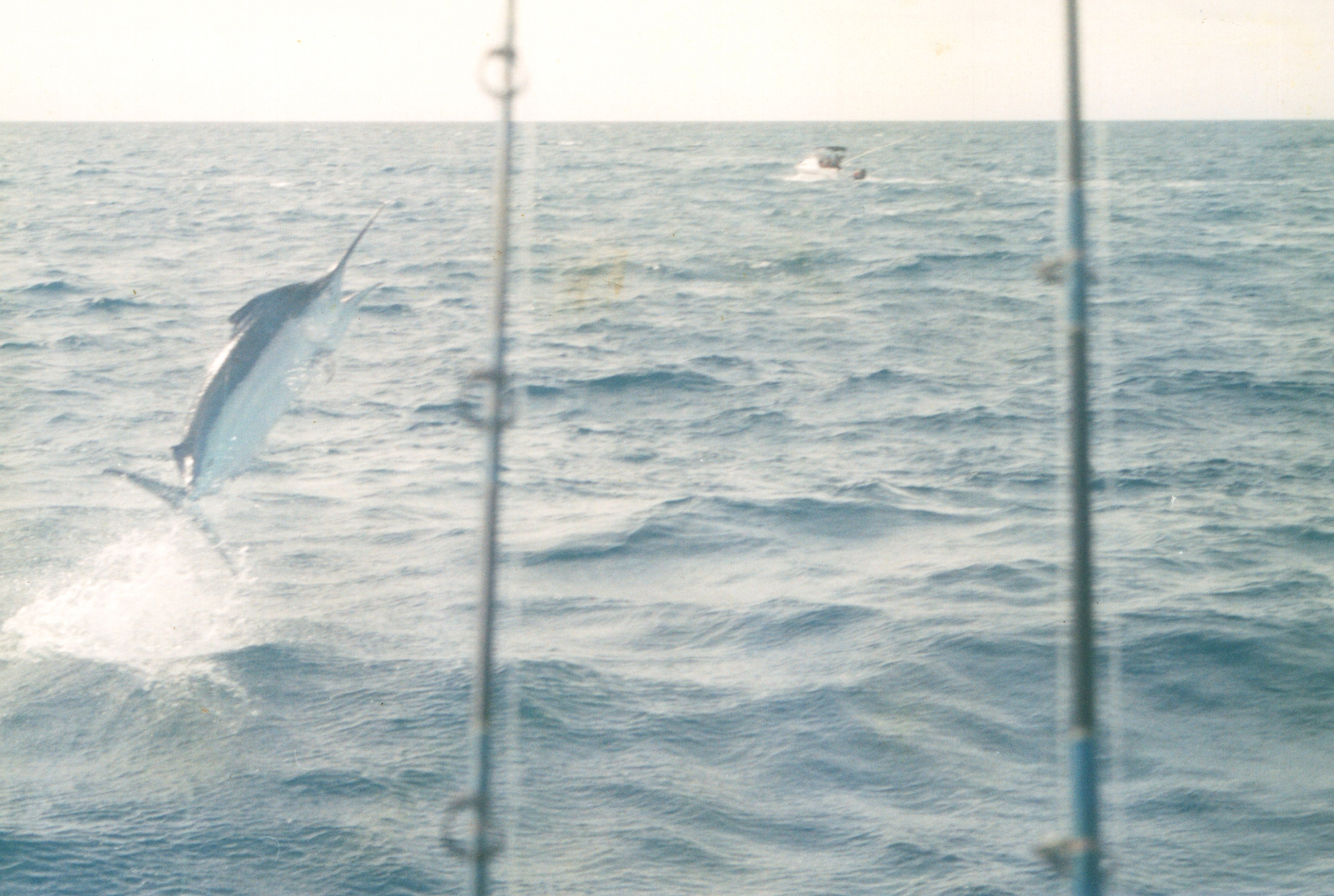 Scan2022-06-19_114313.png