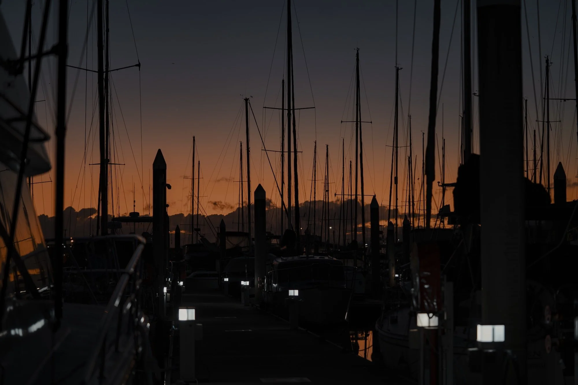_DSC9626.jpg