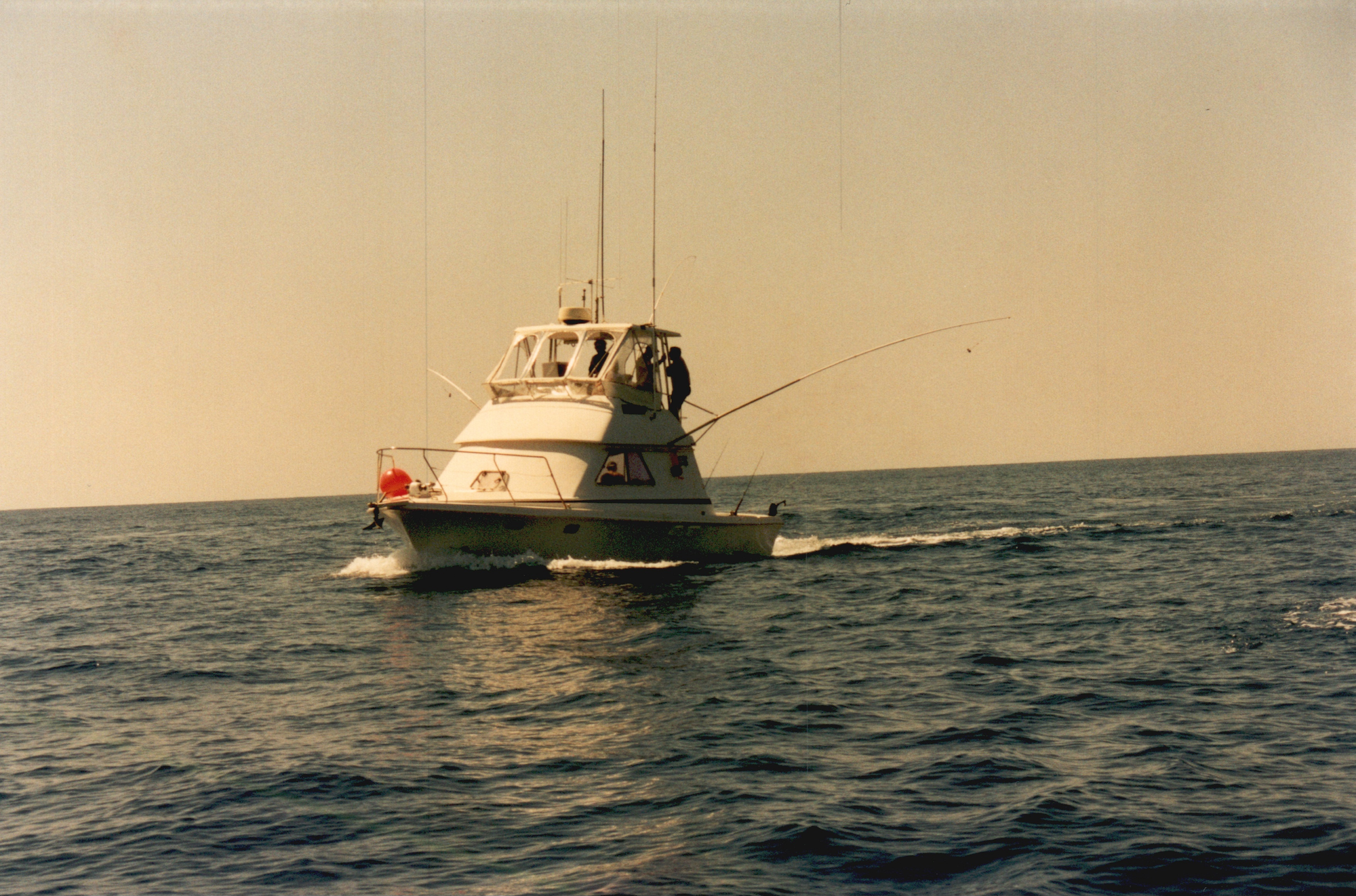 Scan2022-06-19_103705.png