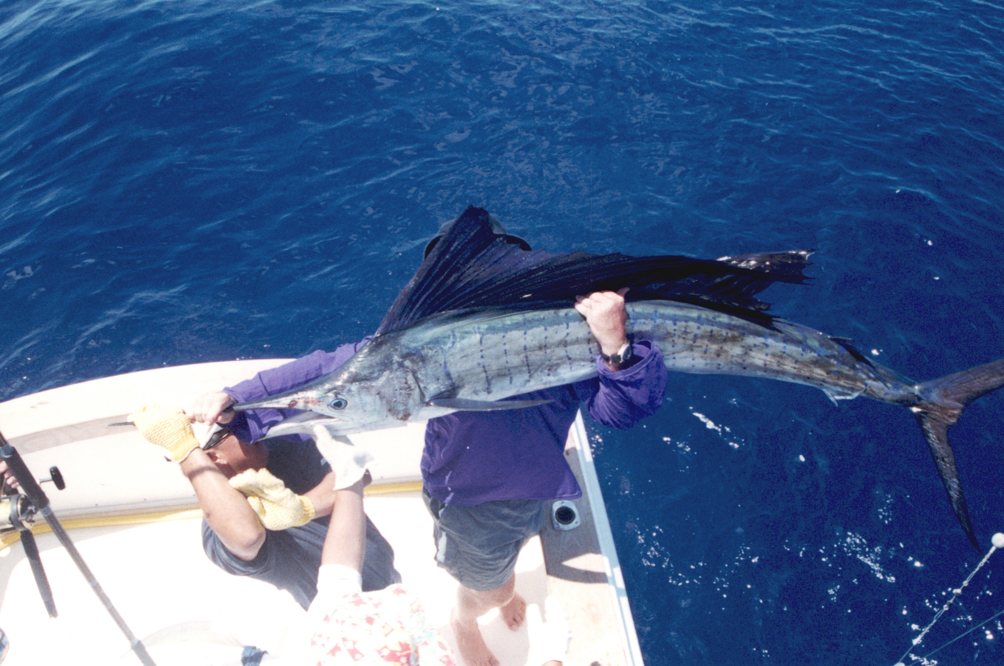 Scan2022-06-19_104007.png