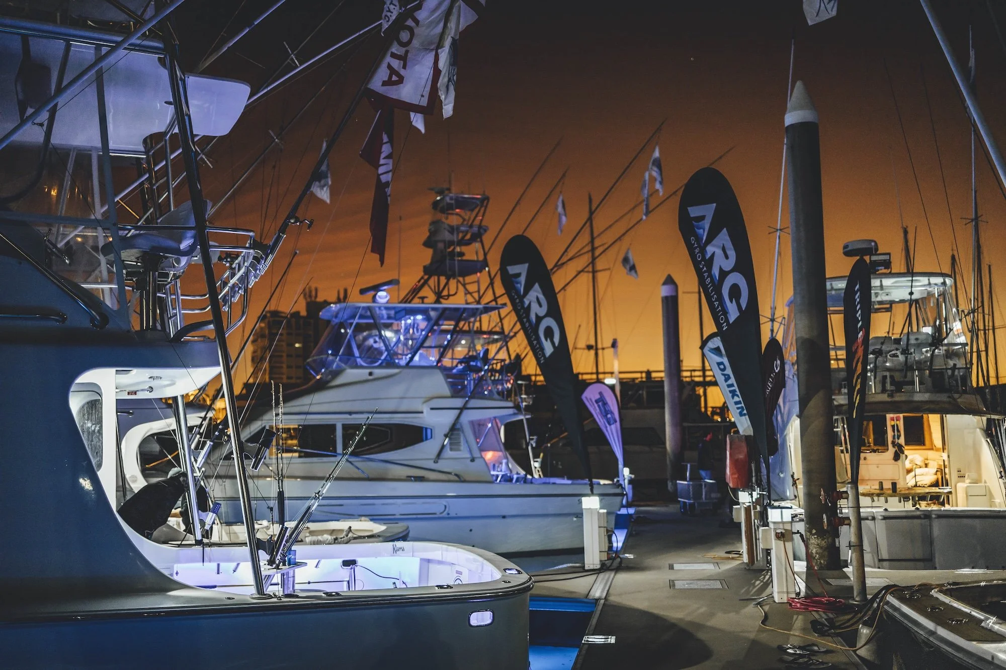 TGFC BILLFISH STILLS - TUESDAY-3.jpg