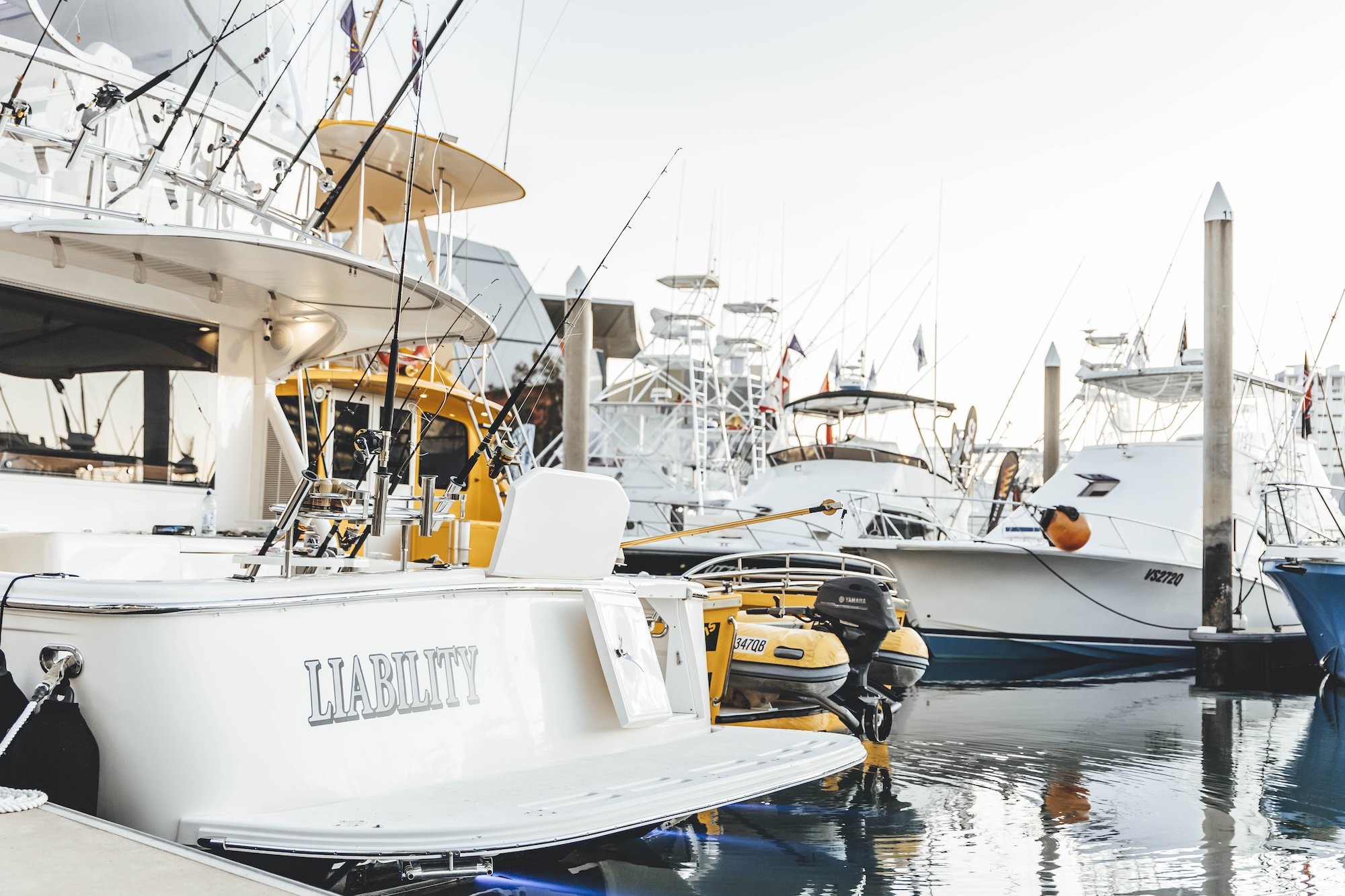 TGFC BILLFISH STILLS - TUESDAY-38.jpg
