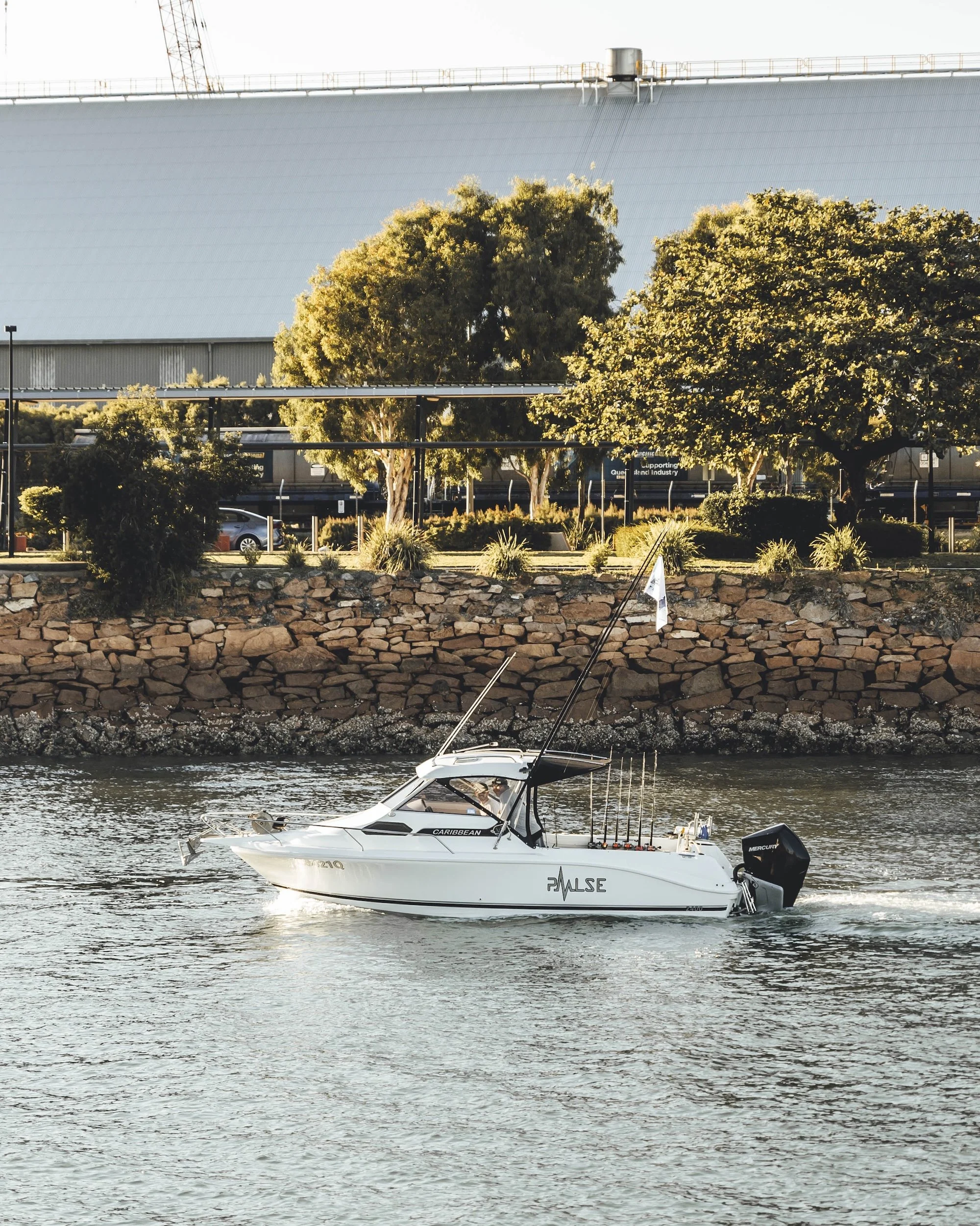 TGFC BILLFISH STILLS - TUESDAY-131.jpg