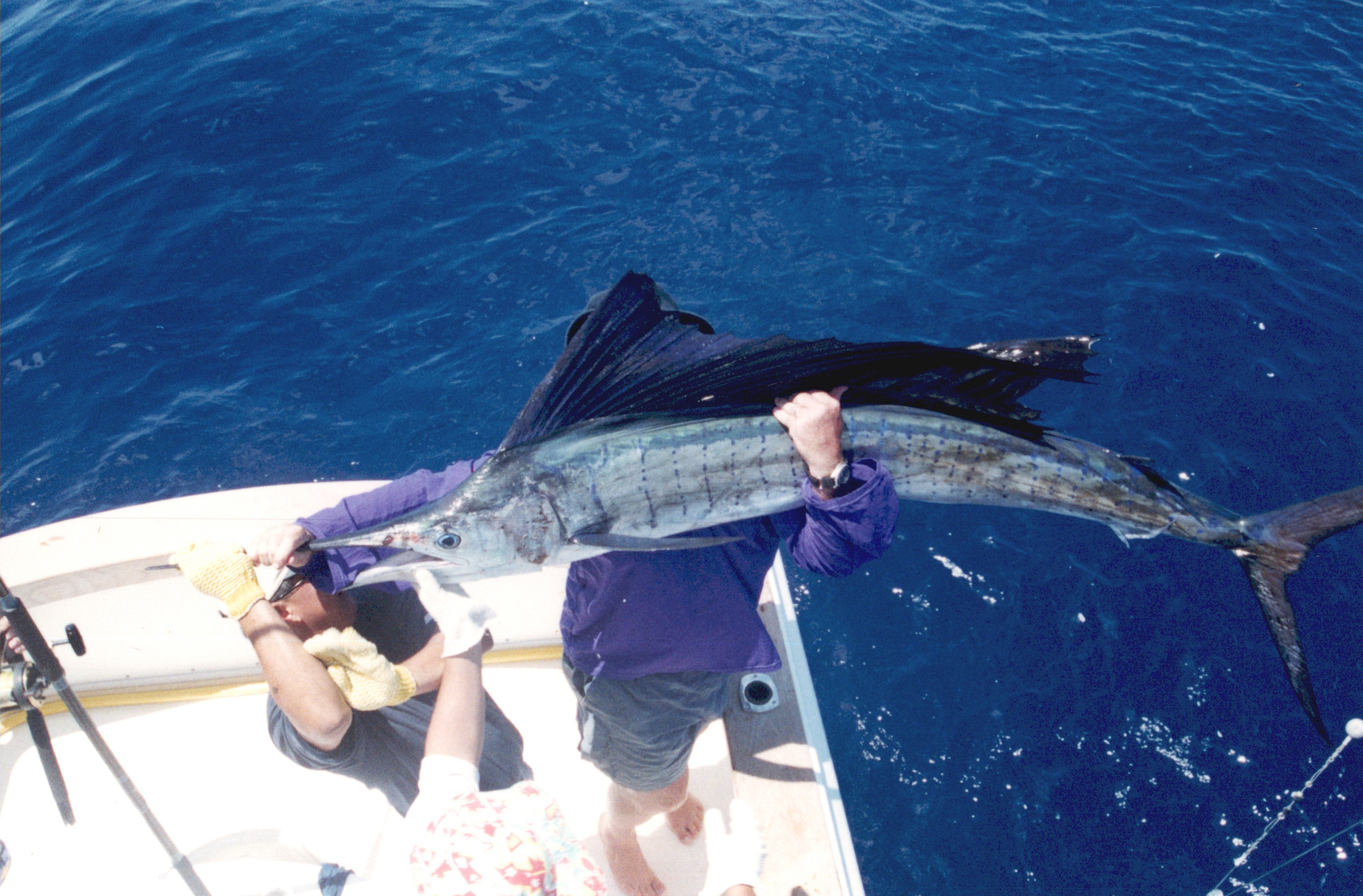 Scan2022-06-19_113351.png