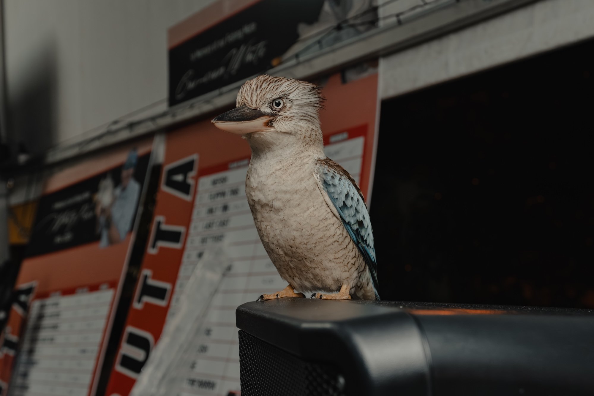 DSC03894.jpg