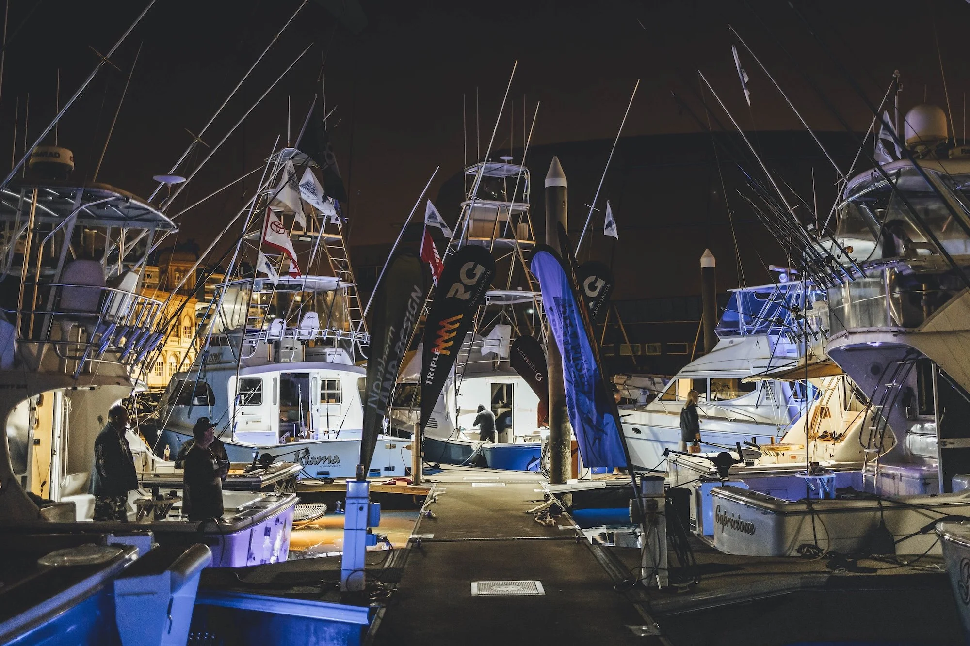 TGFC BILLFISH STILLS - TUESDAY-6.jpg
