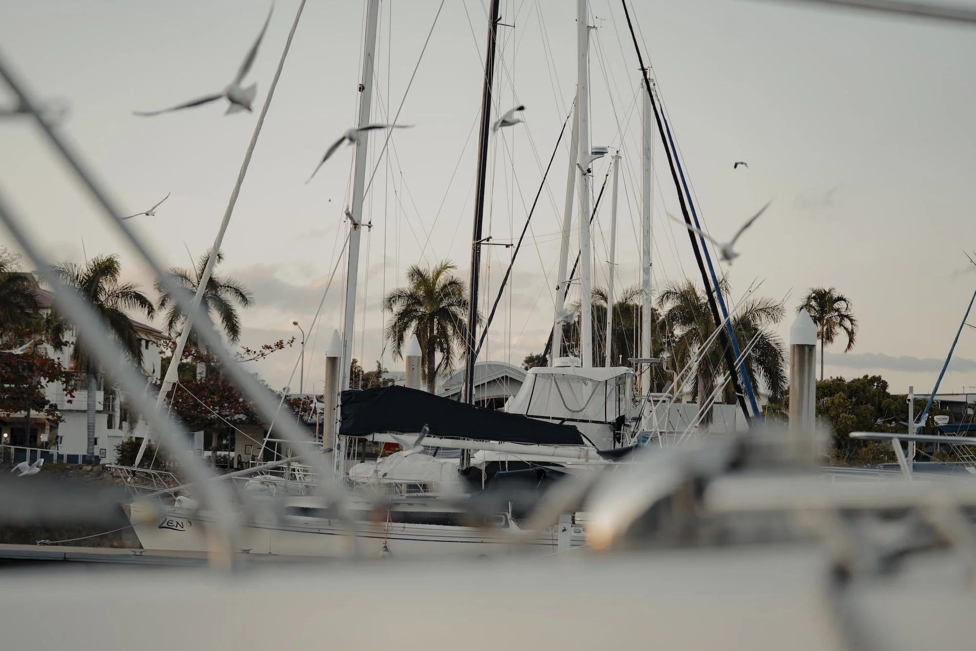 _DSC9690.jpg