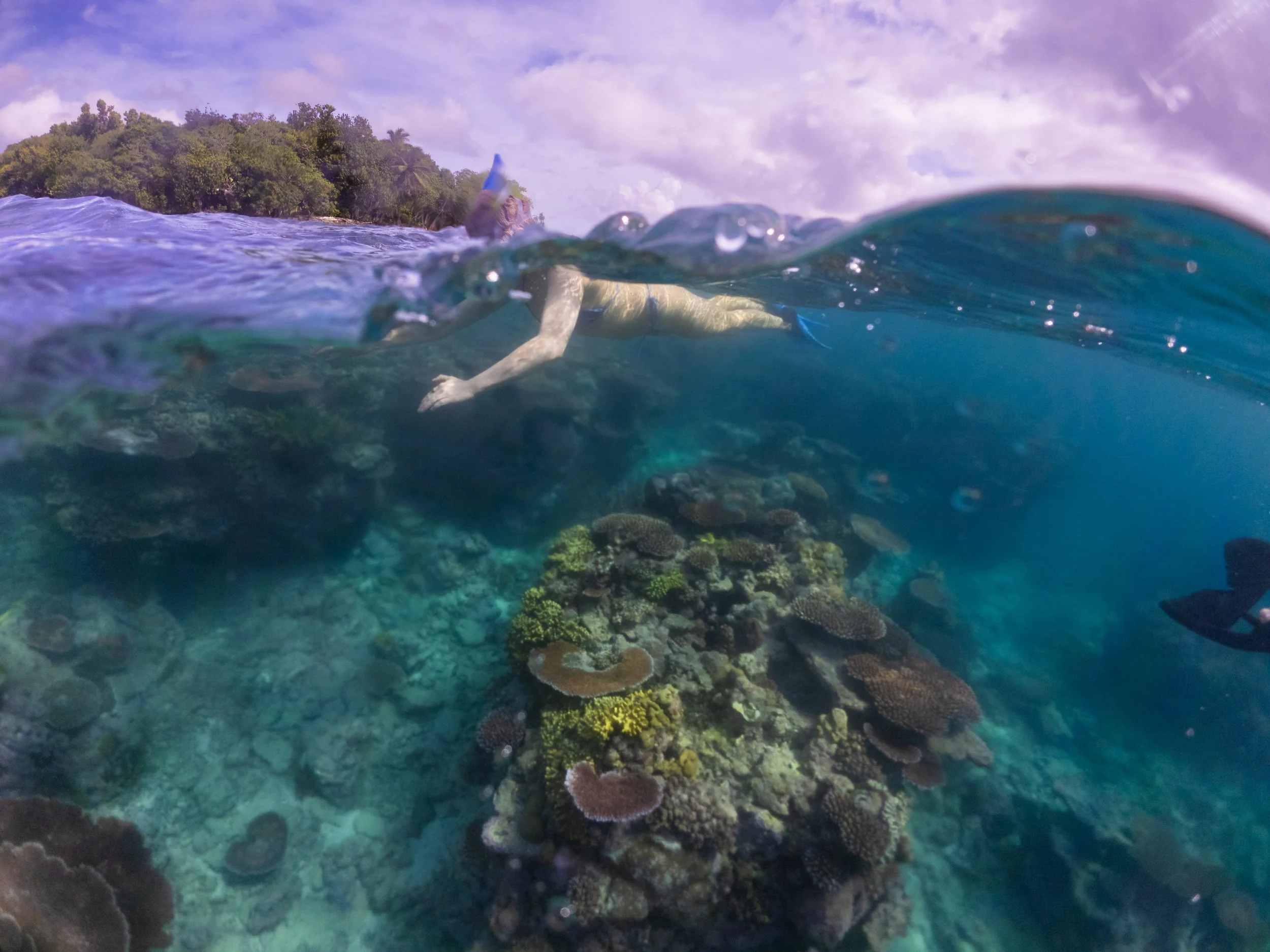 Underwater view of a person snorkeling above a vibrant coral reef, with a tropical island and sky in the background.