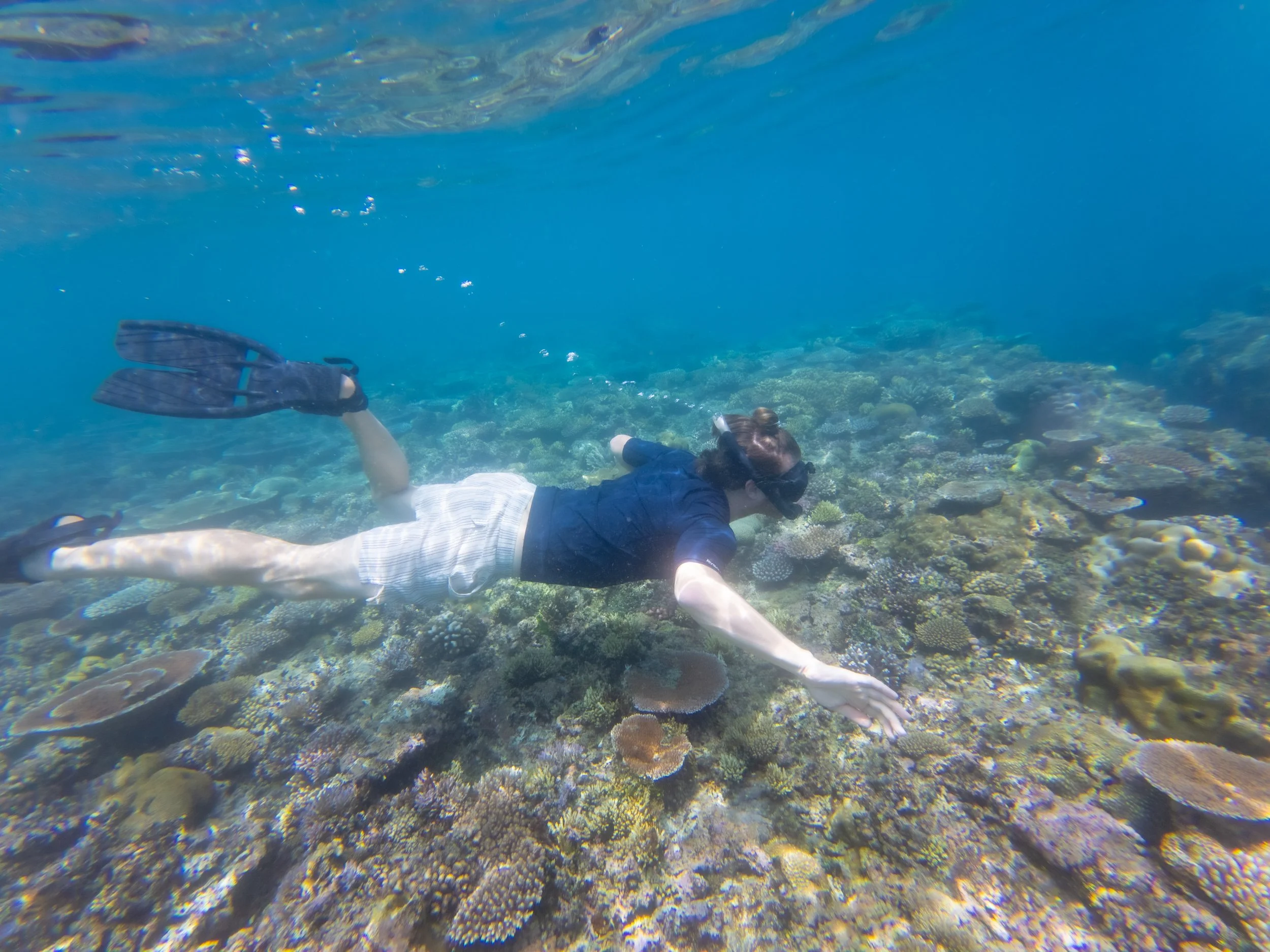 Person snorkeling over a coral reef with arms and legs extended, wearing fins, a mask, and a snorkel.