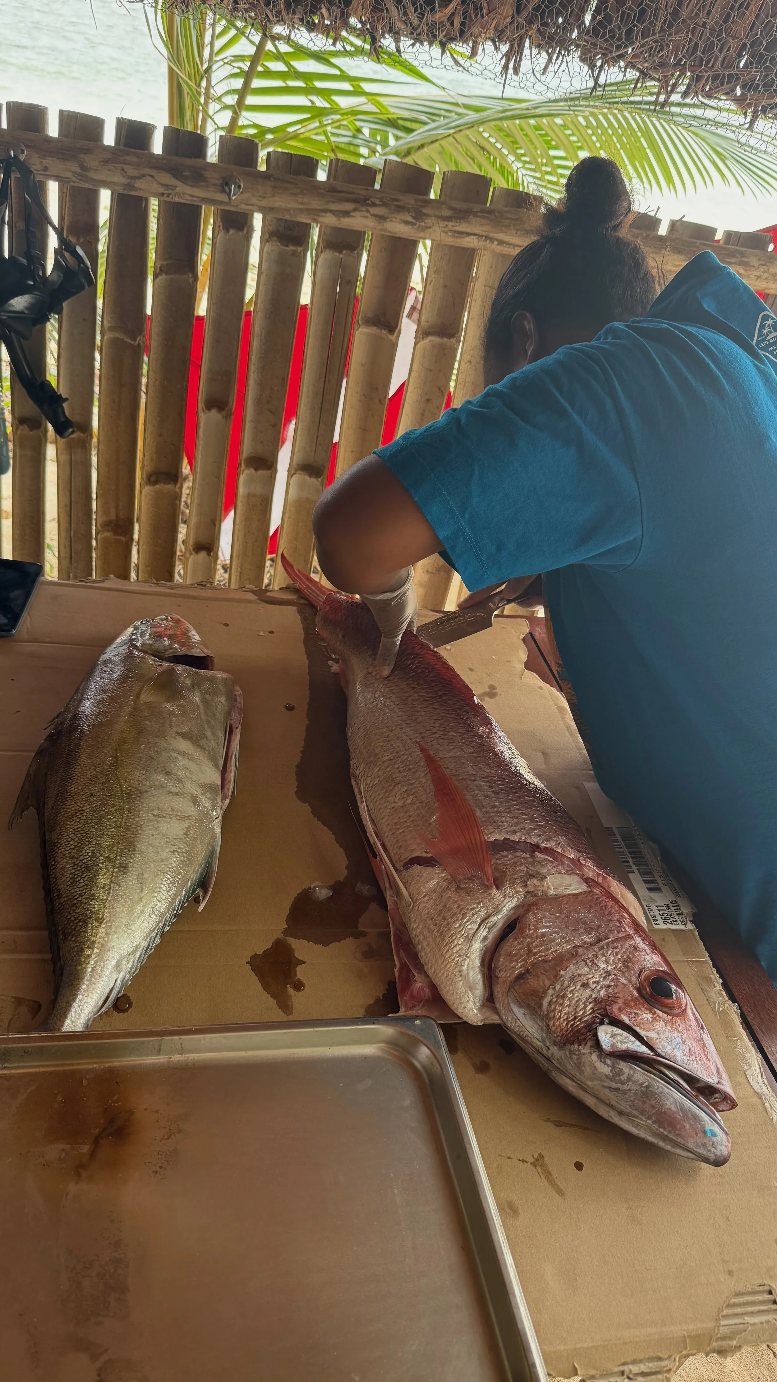 Amberjack and Snapper.jpg