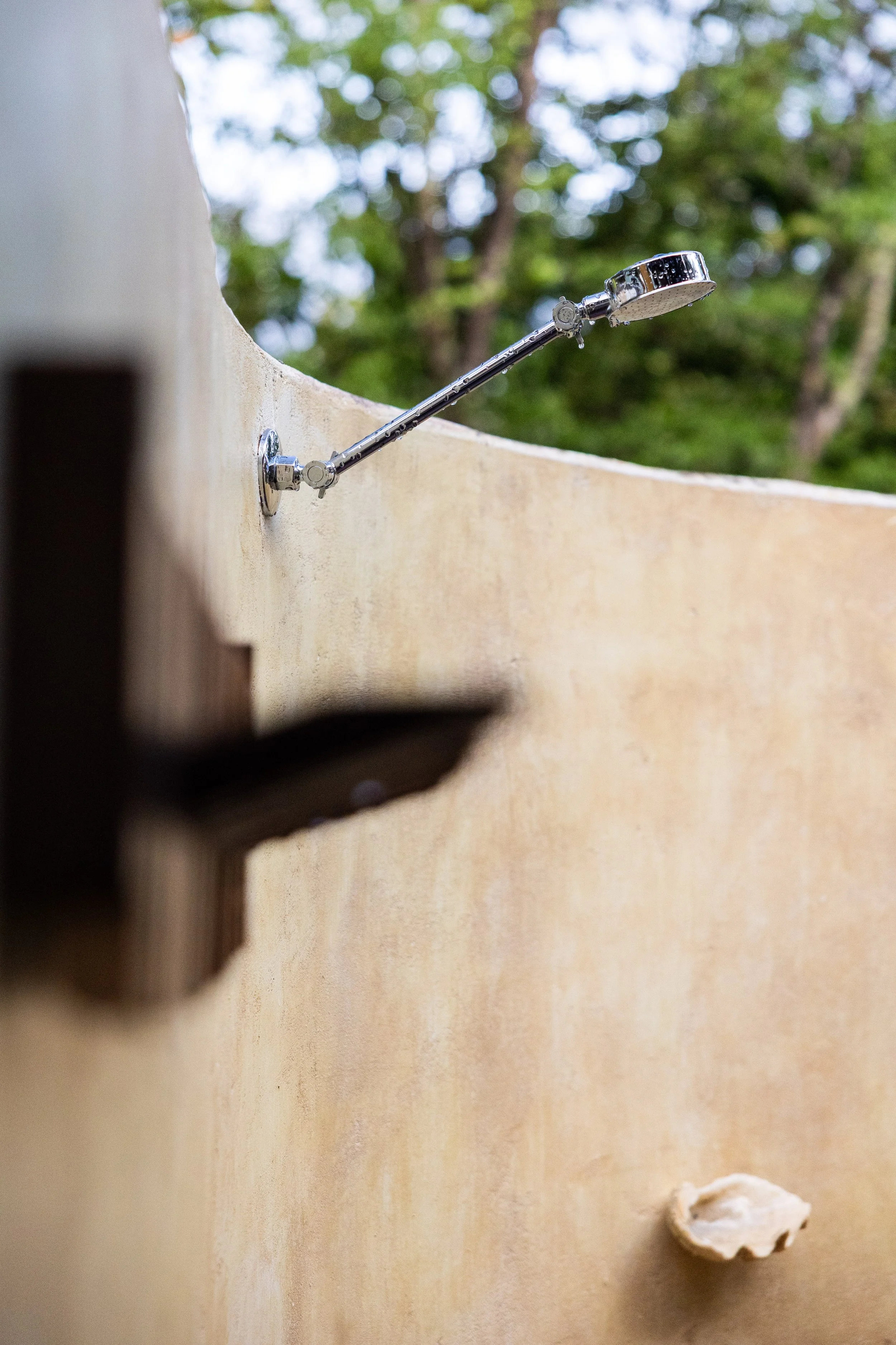 Close-up of a metal outdoor showerhead attached to a wooden wall with trees in the background.