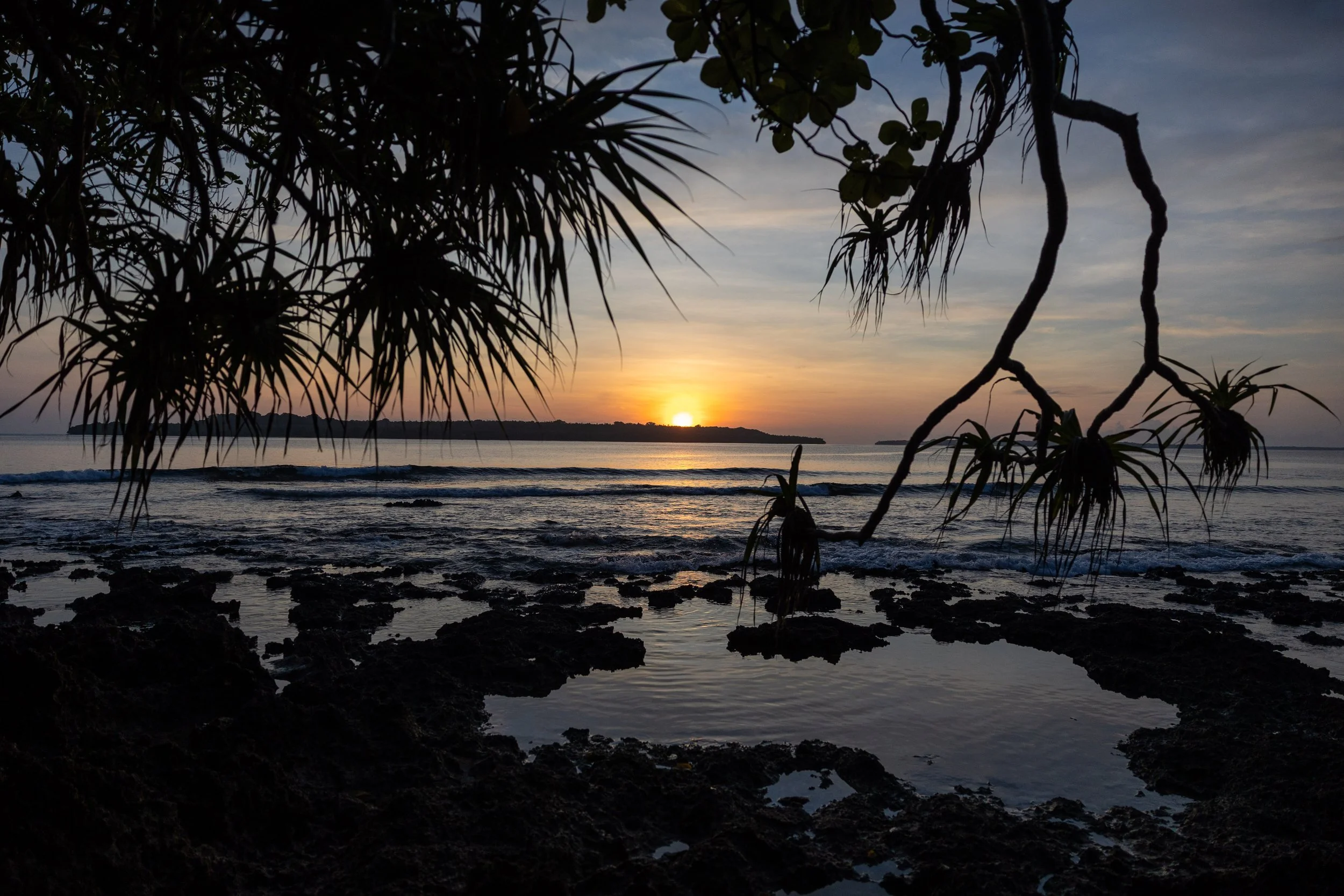 Sunset over the ocean with silhouettes of trees and rocks in the foreground.