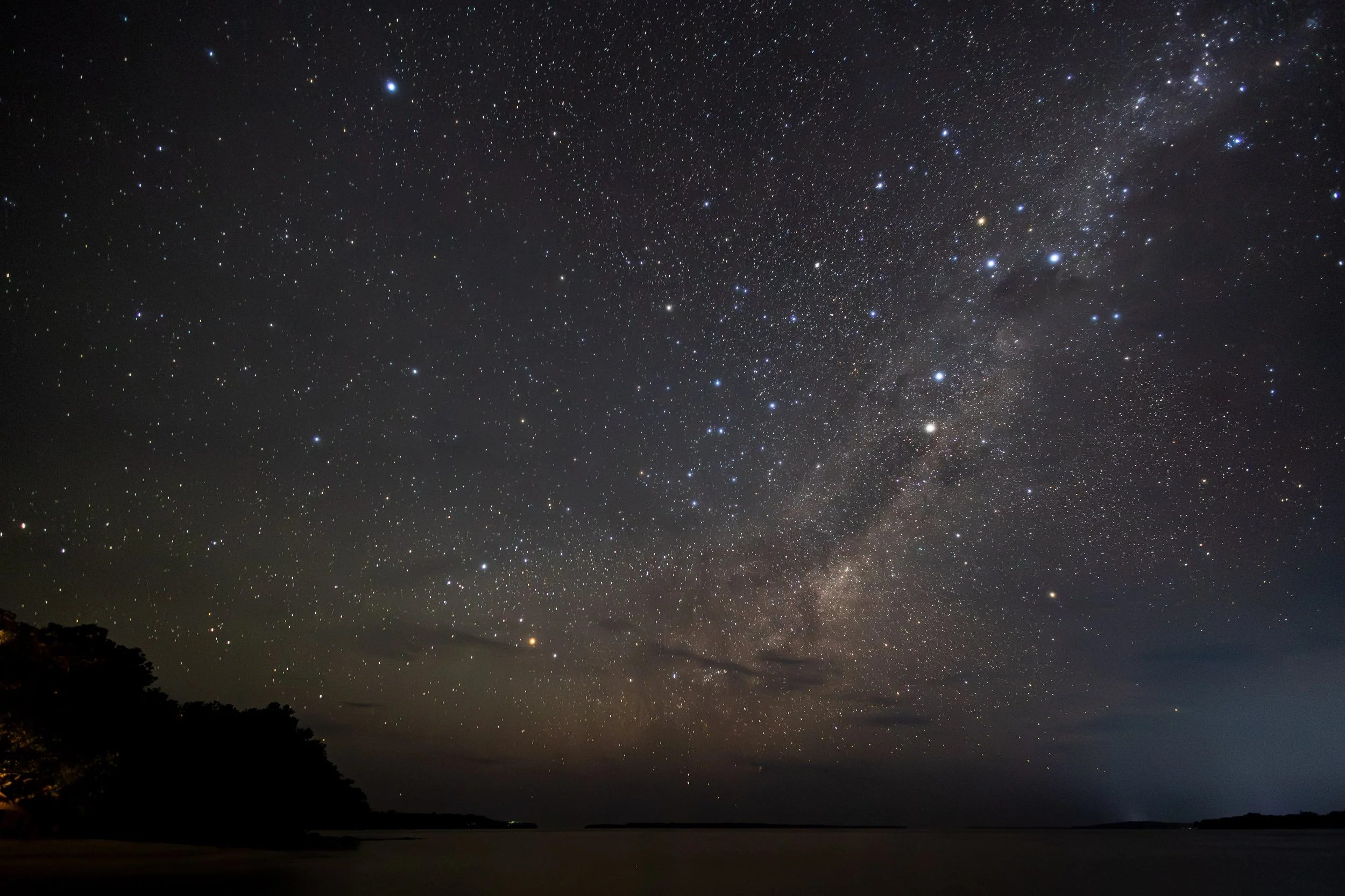 Night sky filled with stars and the Milky Way galaxy, over a dark landscape with trees and water.