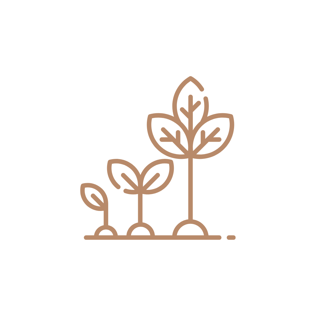 growth icon showing a plant growing from 1 leaf to 3 leaves