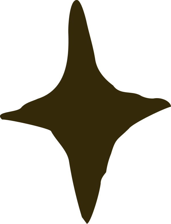 A four-pointed star.