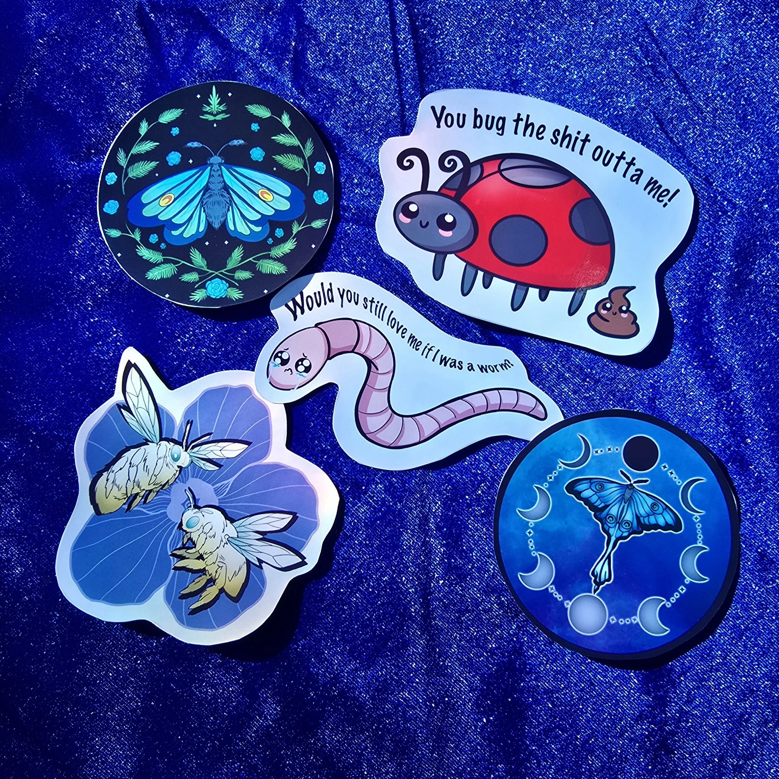 20260227_091927 (1).jpg