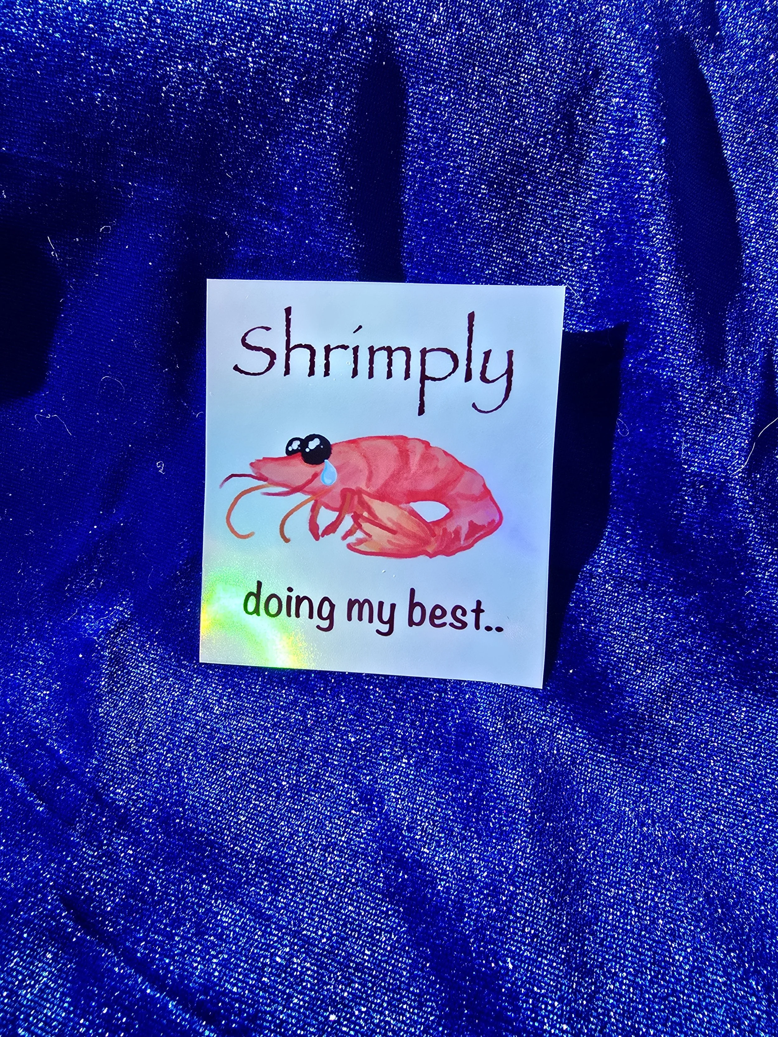 20260227_092036 (2).jpg