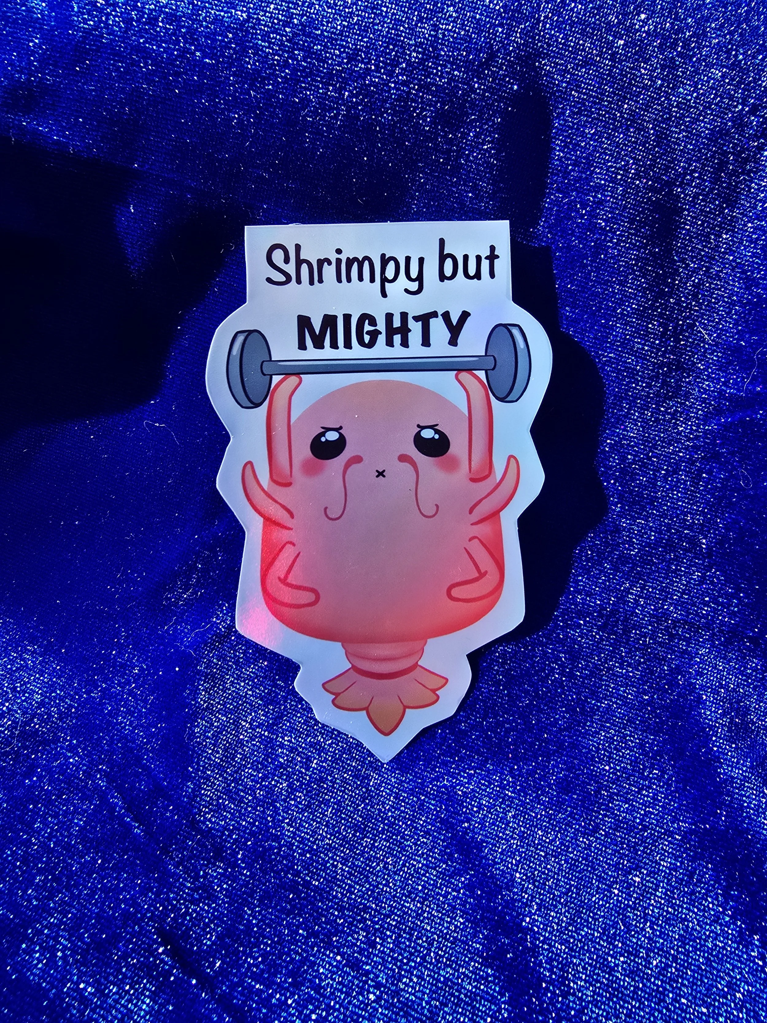 20260227_092049 (1).jpg