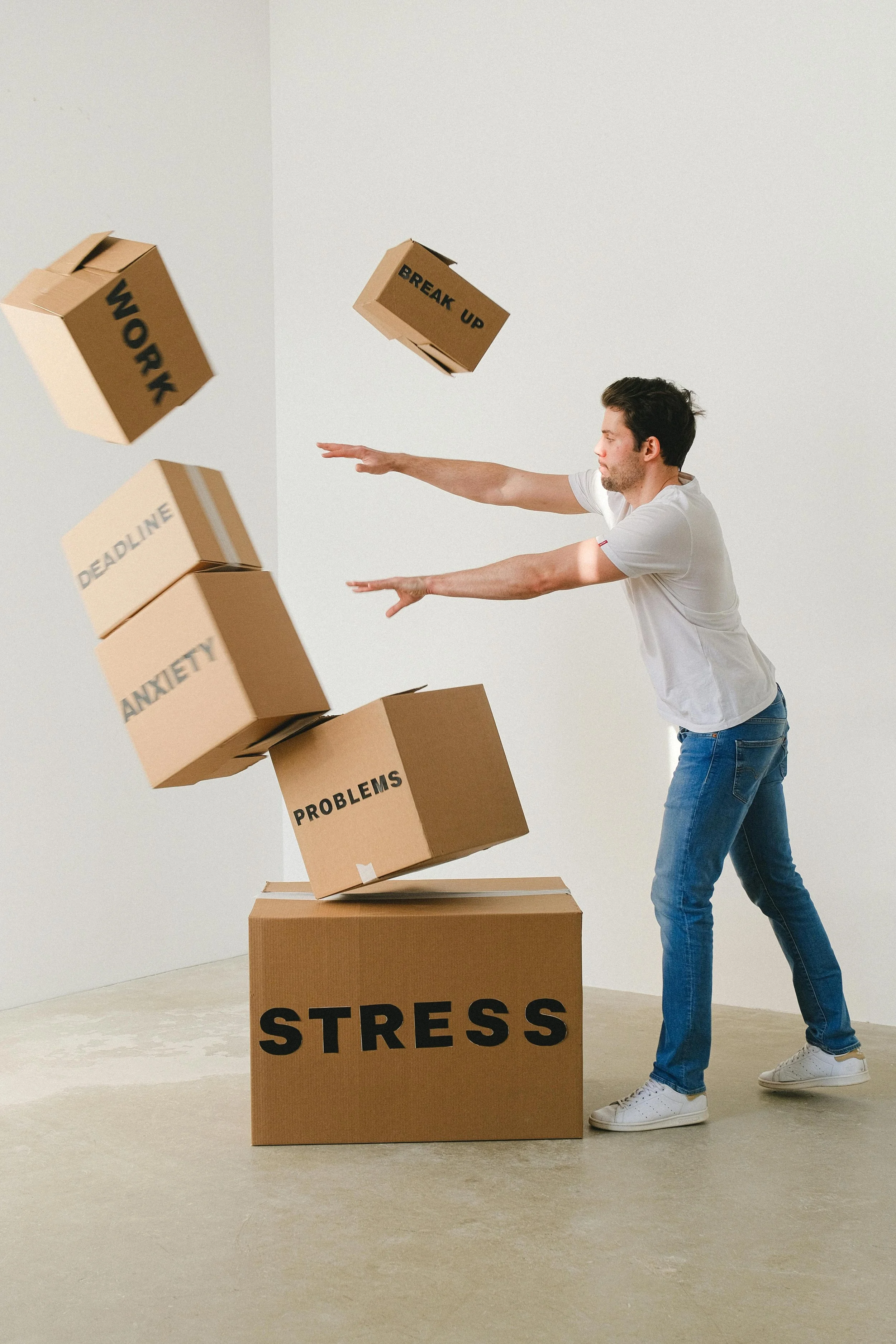 A Compass Guide to the Nervous System, Anxiety, and Depression