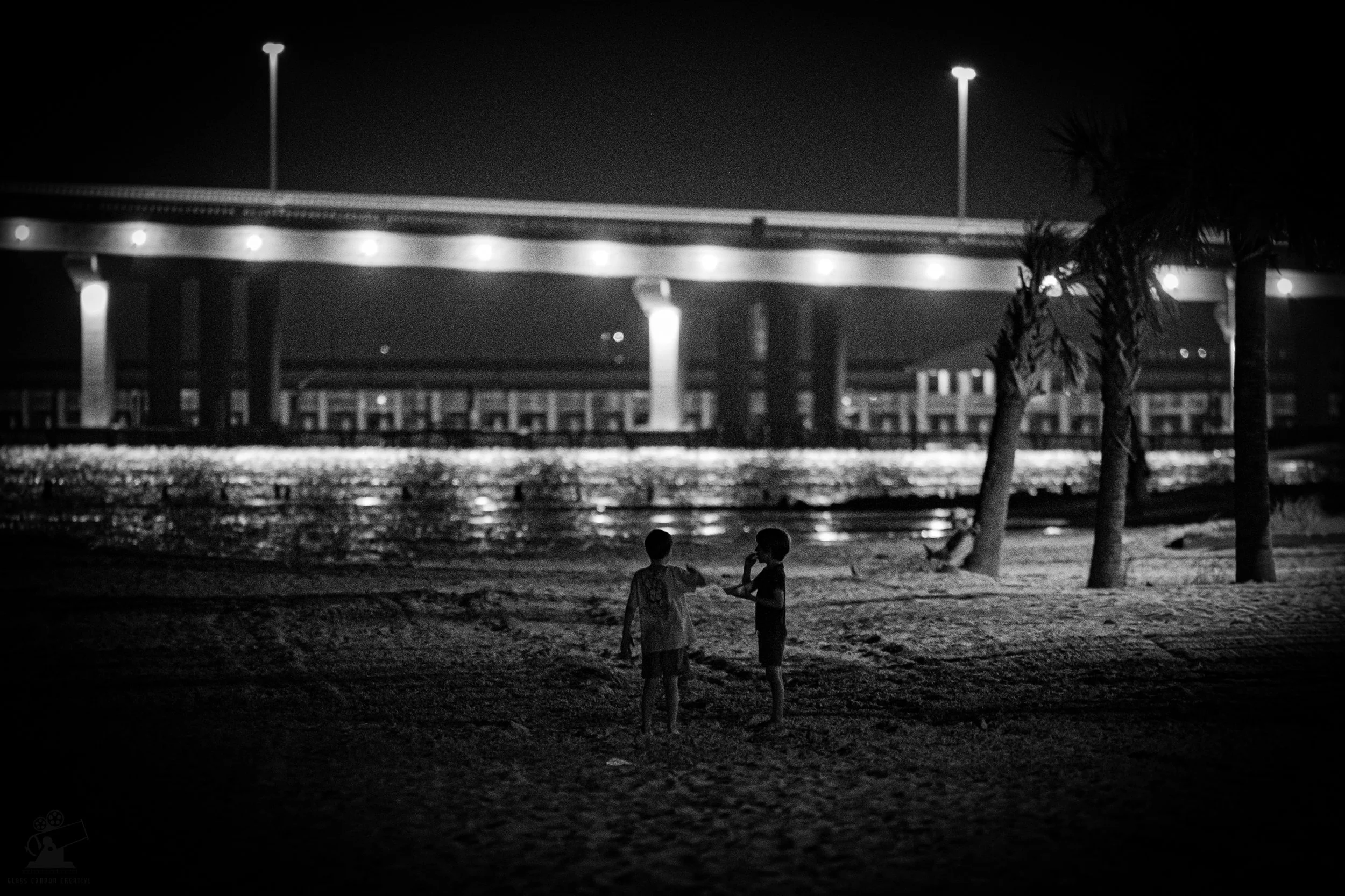 L1190806.jpg