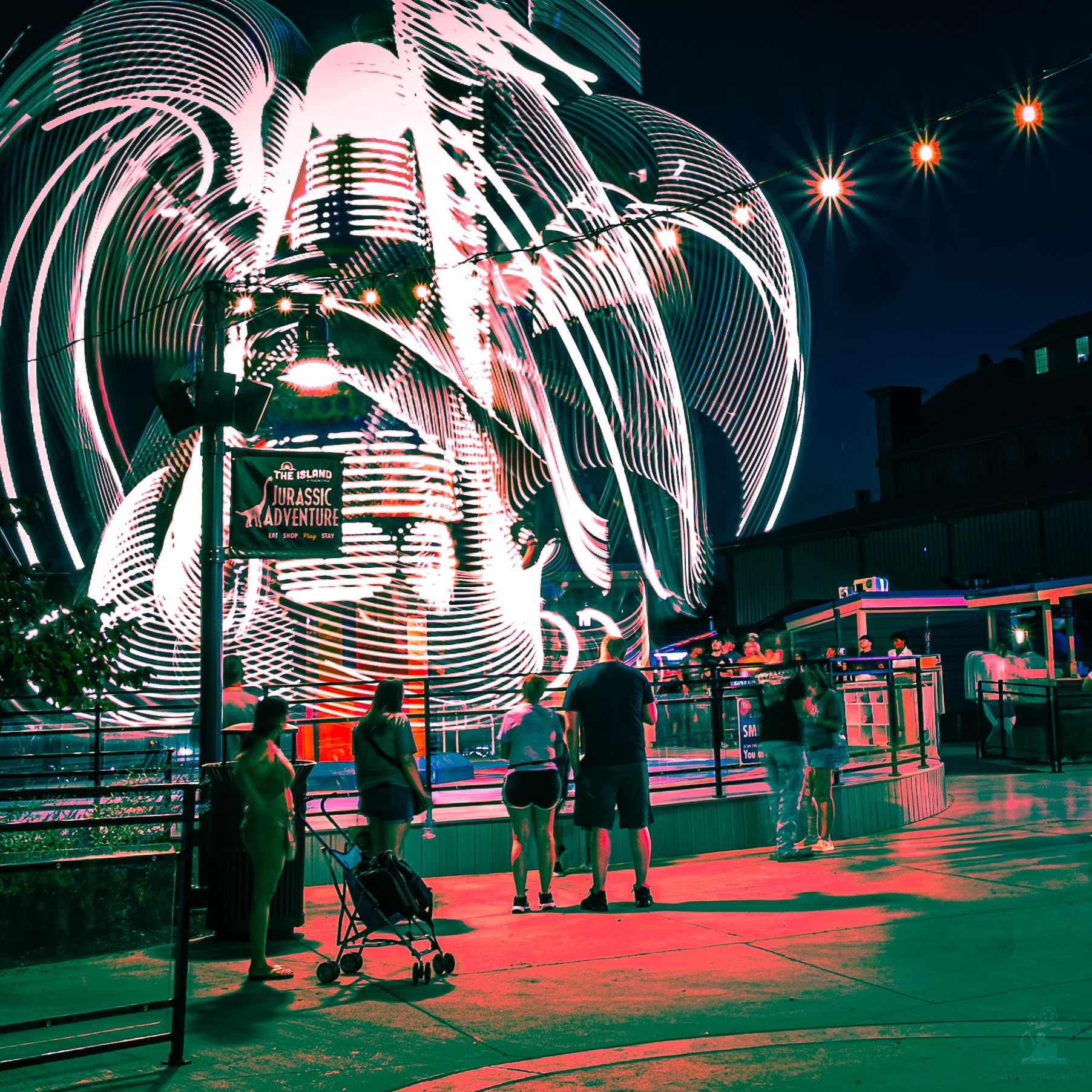 L1180935-2.jpg