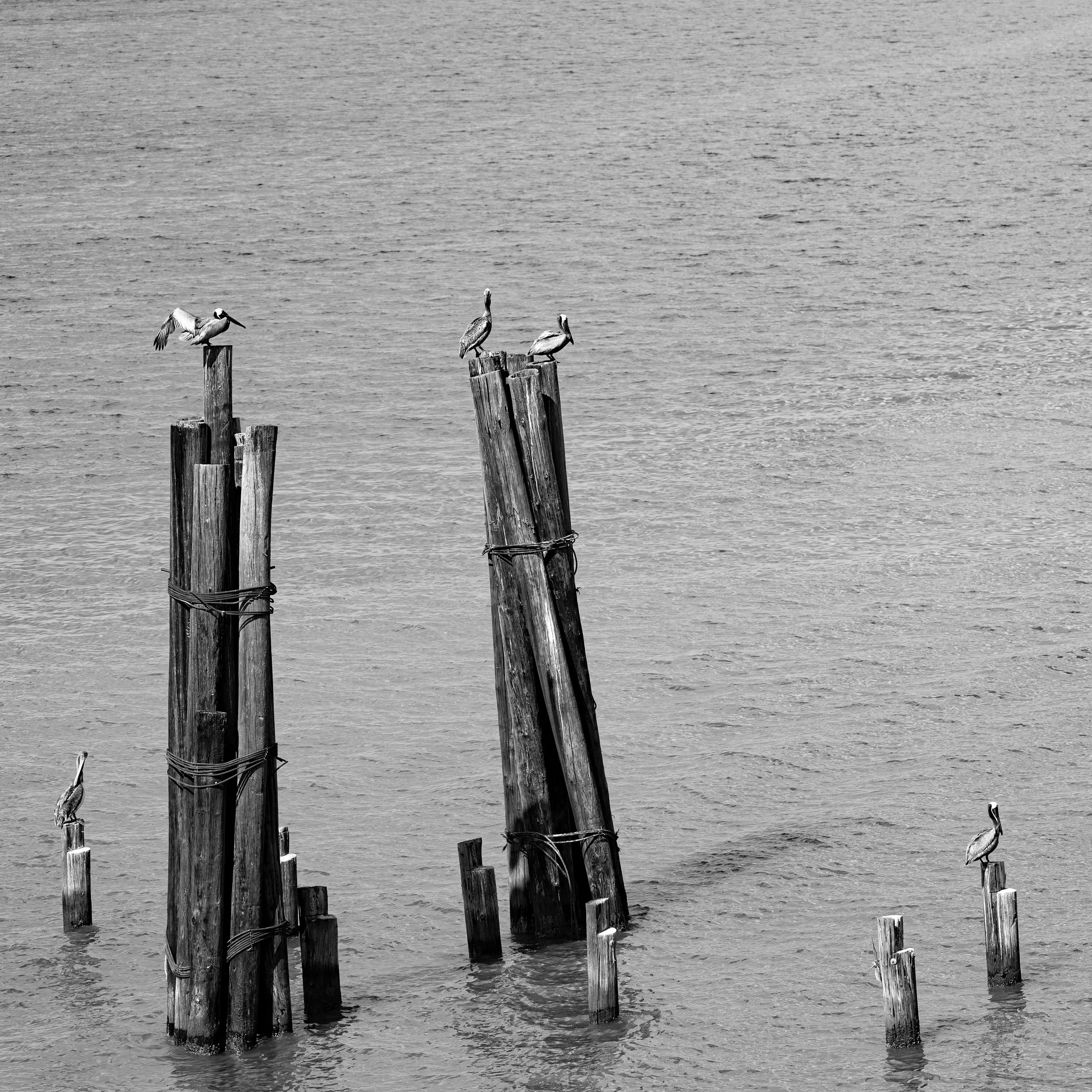 L1190240.jpg