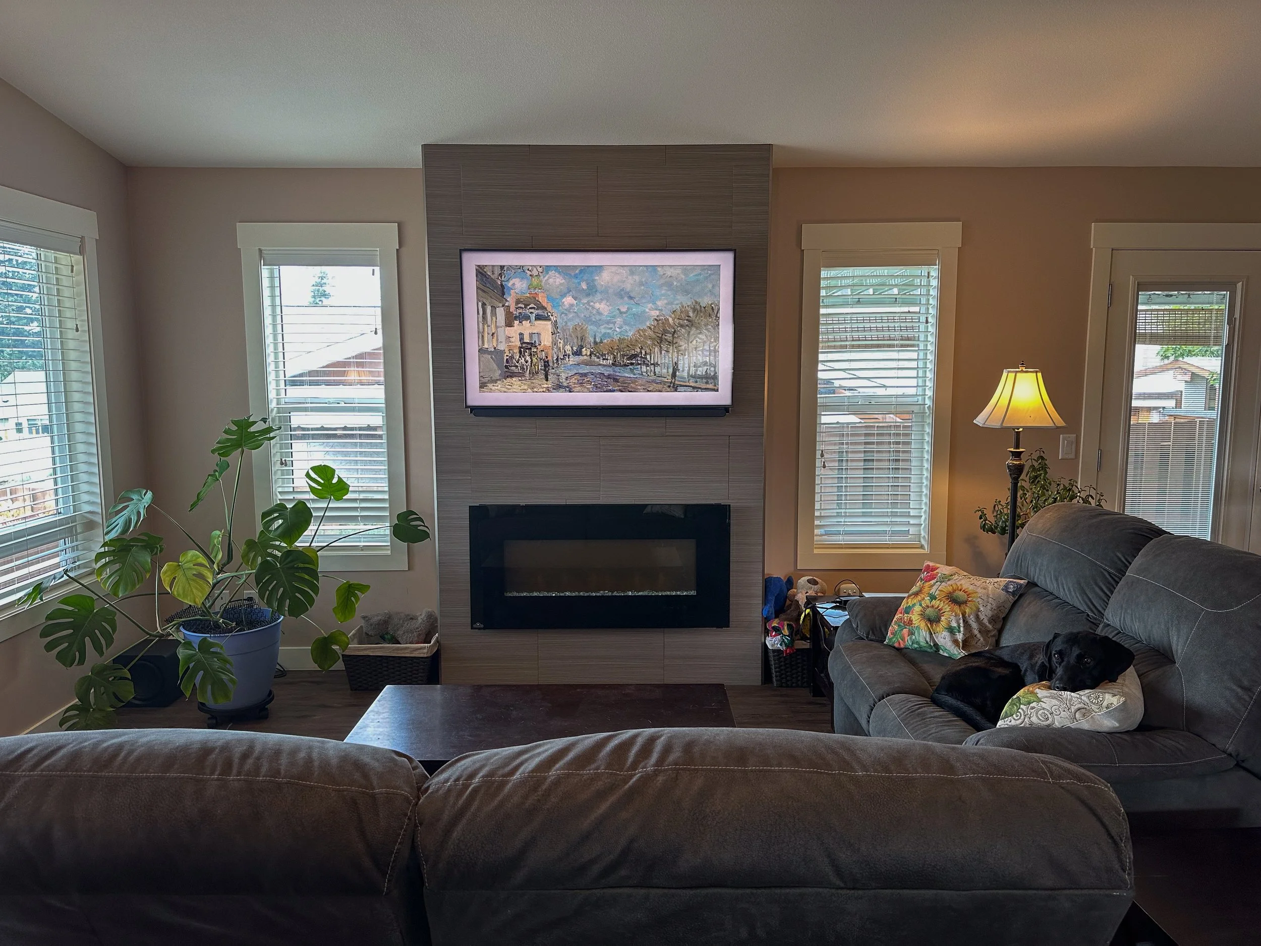 Living room with a dark sofa, a potted monstera plant, and a wall-mounted TV above a fireplace; a dog is lying on the sofa next to a colorful pillow, with a floor lamp and windows in the background.