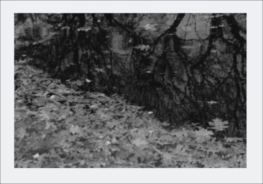 Screenshot 2026-02-27 011127.png