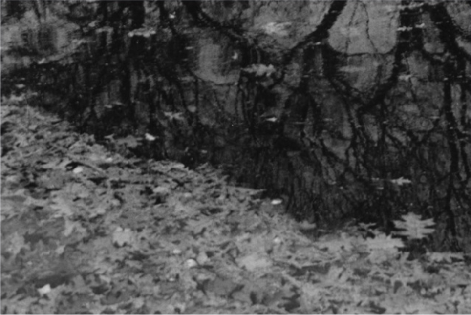 Las Vidas De Otros- Photo Book