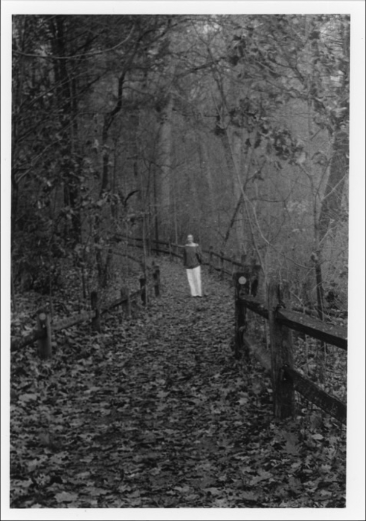 Screenshot 2026-02-27 011150.png