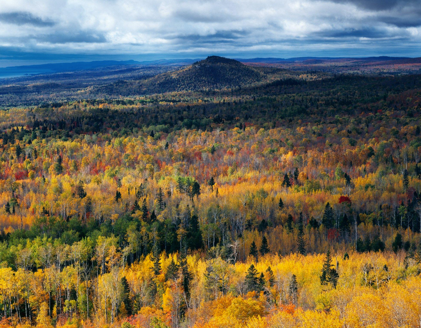 Carlton Peak Hike Fall View
