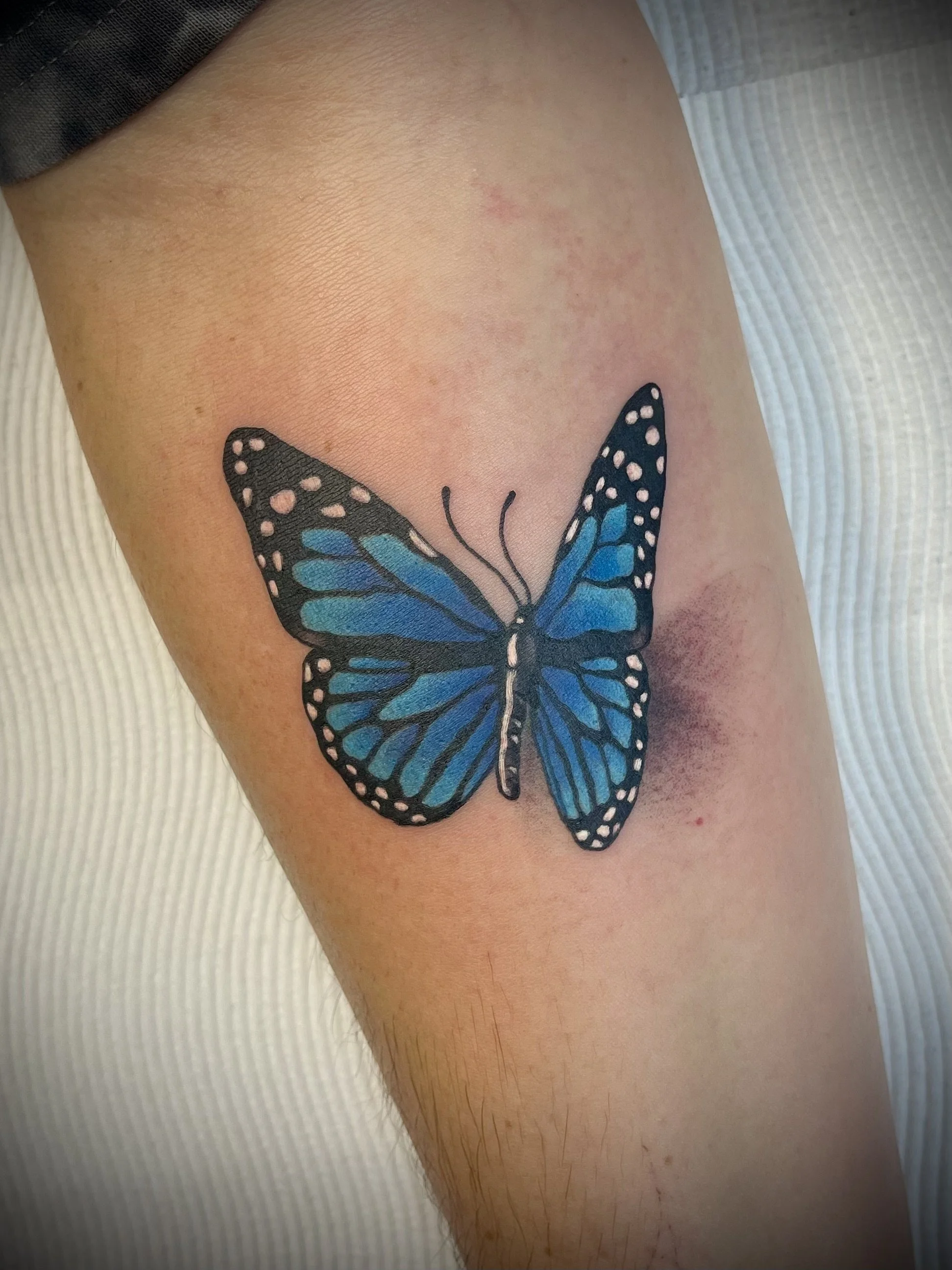 Blue butterfly realism colour tattoo designed by Leasy Tattoo Newcastle