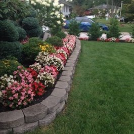 A neatly manicured lawn bordered by a flower bed with pink, yellow, and white flowers, separated by a low stone edging, with bushes and trees in the background.