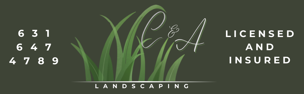 C &amp; A Landscaping                  