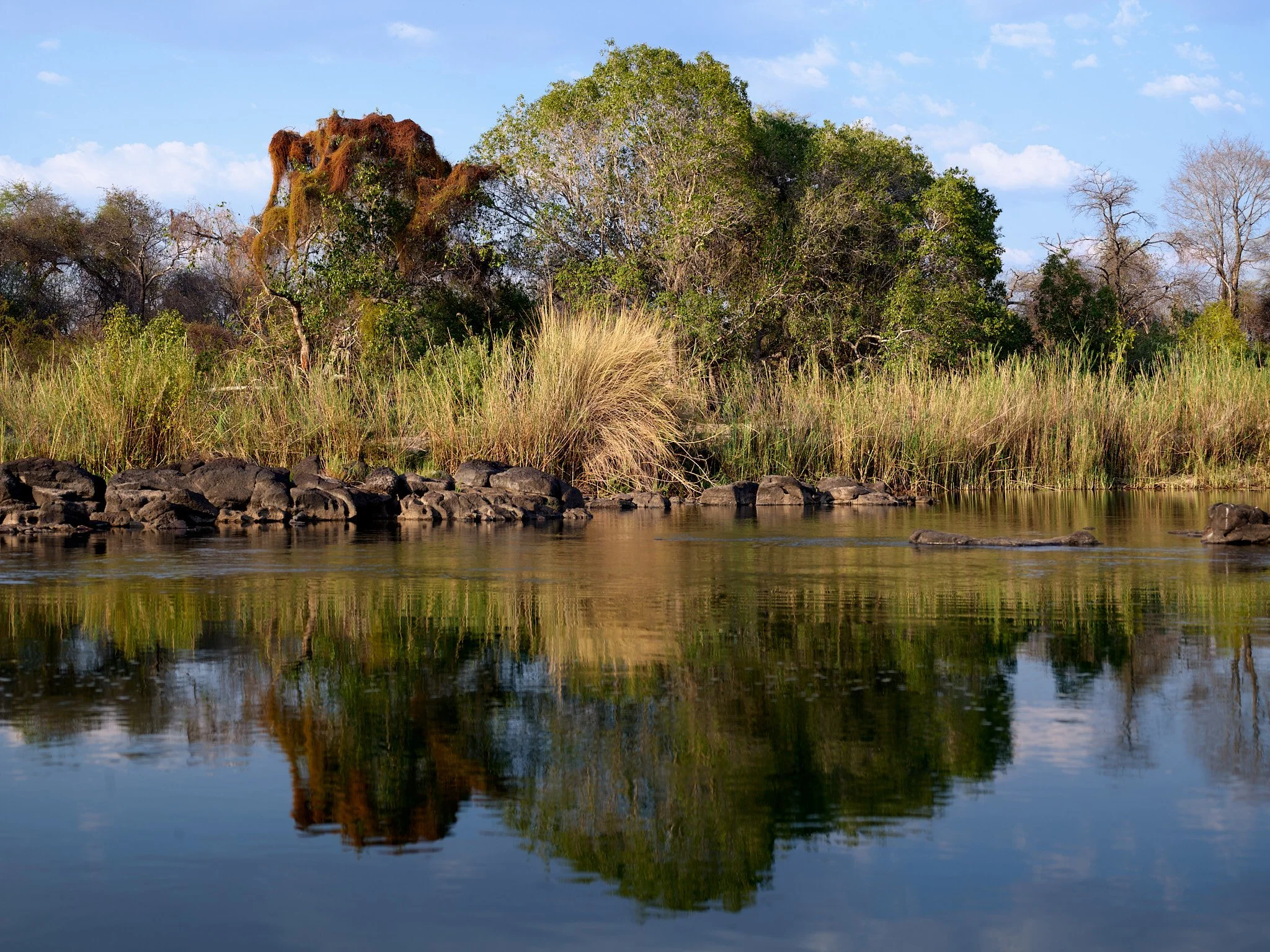 RÍO ZAMBEZE 2
