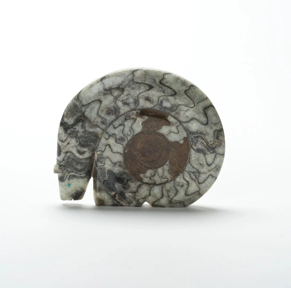 A polished gray and brown ammonite fossil with intricate spiral shell patterns, set against a plain white background.