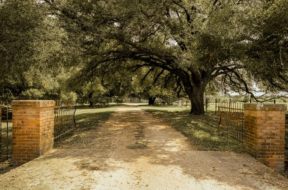 entrace view.jpg