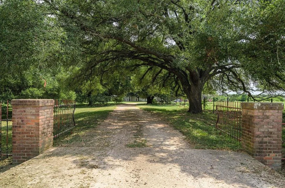entrace view.jpg