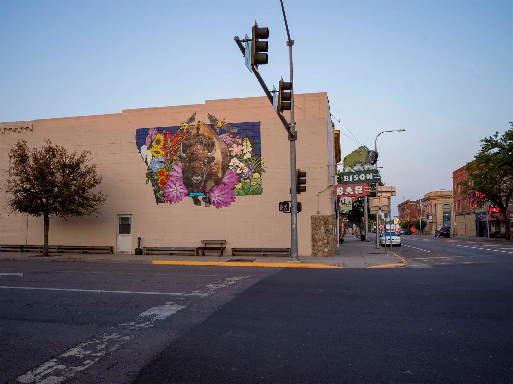 Bison Mural