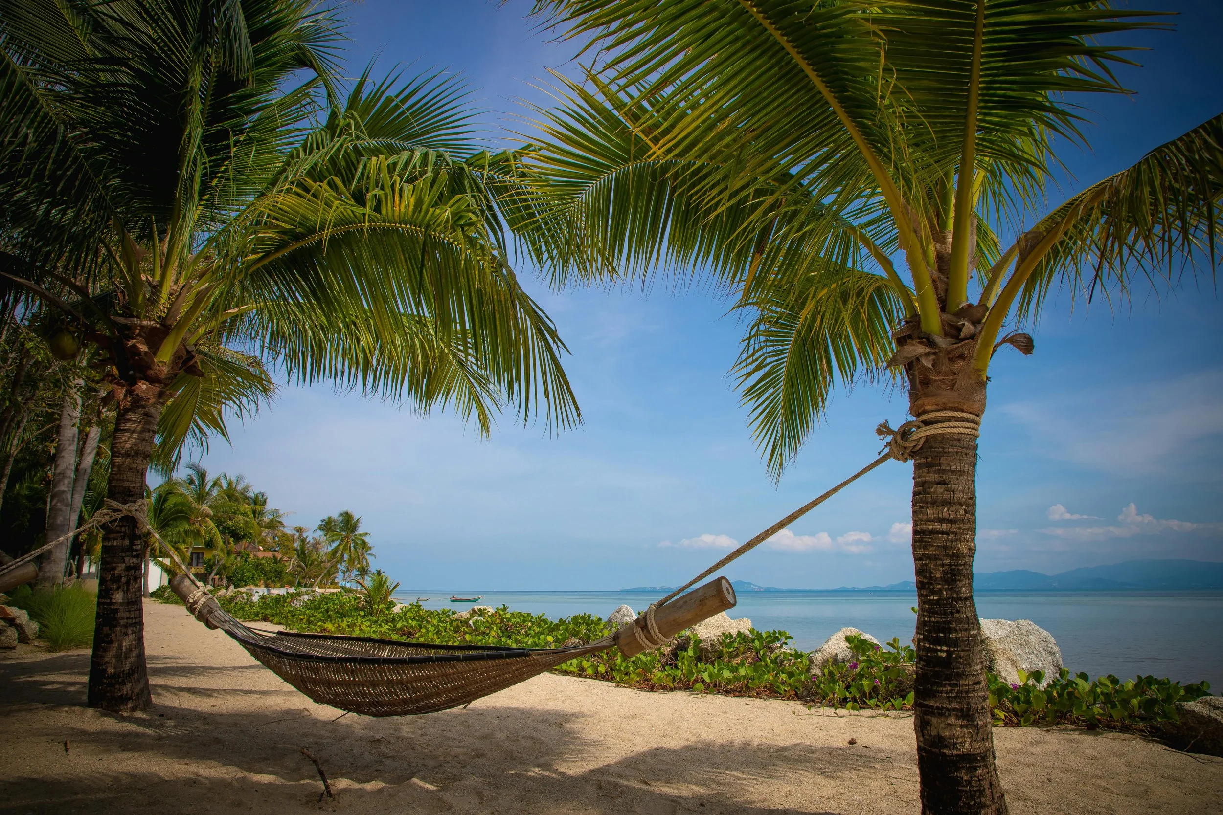 tropical paradise pic.jpg