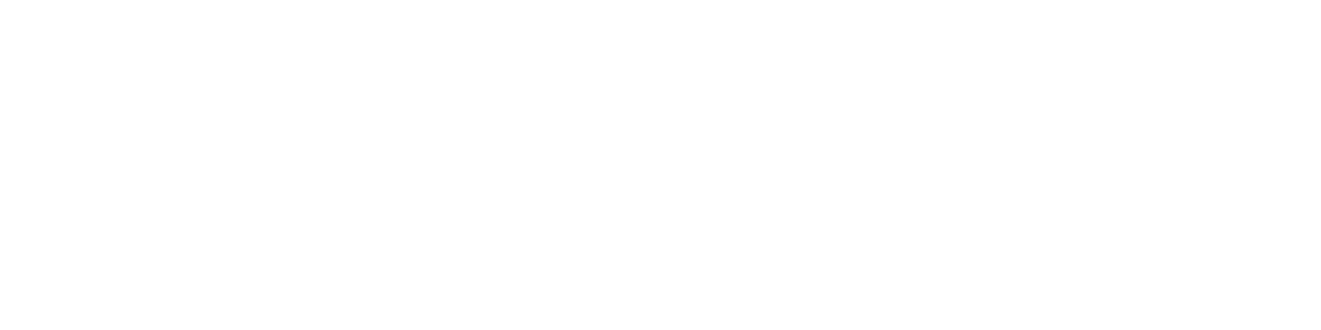 P  A  T  R  I  C  K   J.  L  I  L  L  I  S