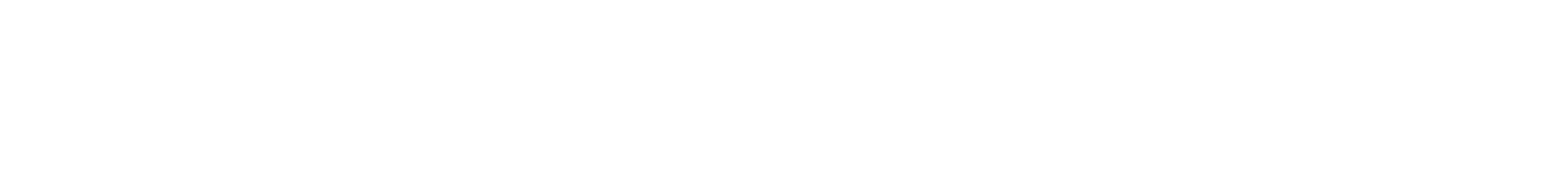 P  A  T  R  I  C  K   J.  L  I  L  L  I  S