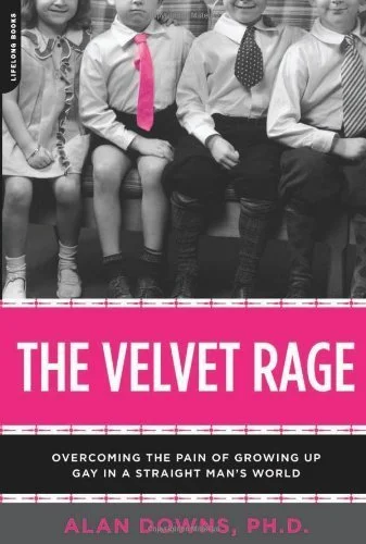 The Velvet Rage.jpg